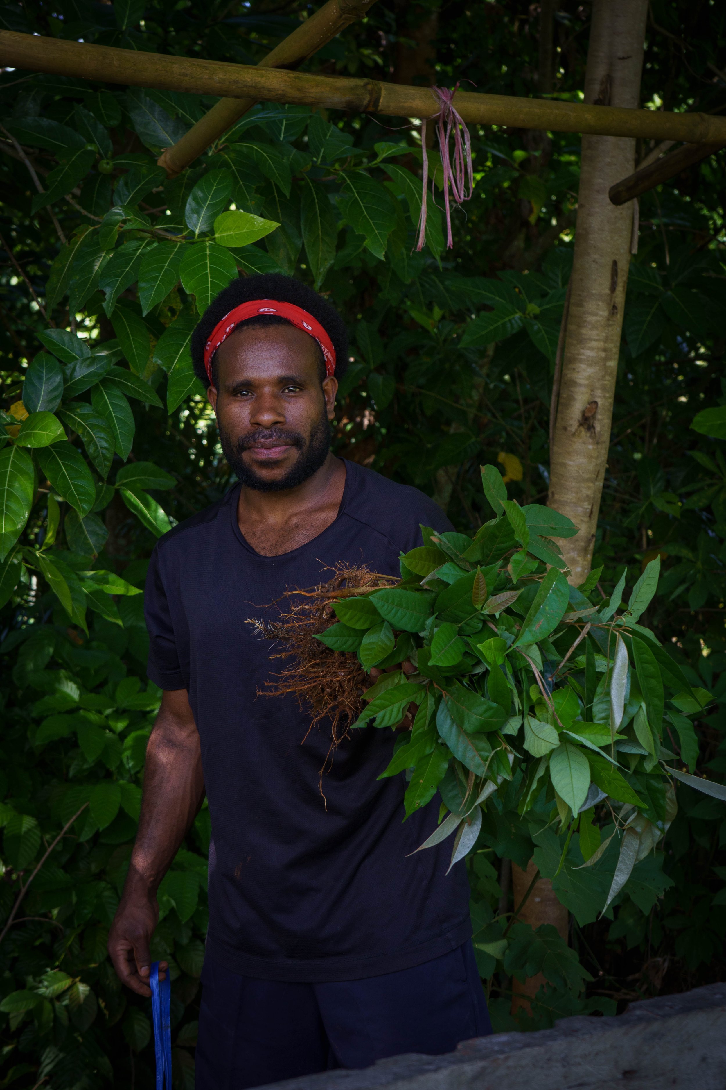 A man with dark skin, black curly hair, and a red bandana stands in a lush green environment, holding a small plant with roots in his right hand. He is wearing a black t-shirt and dark shorts, surrounded by dense foliage and trees.