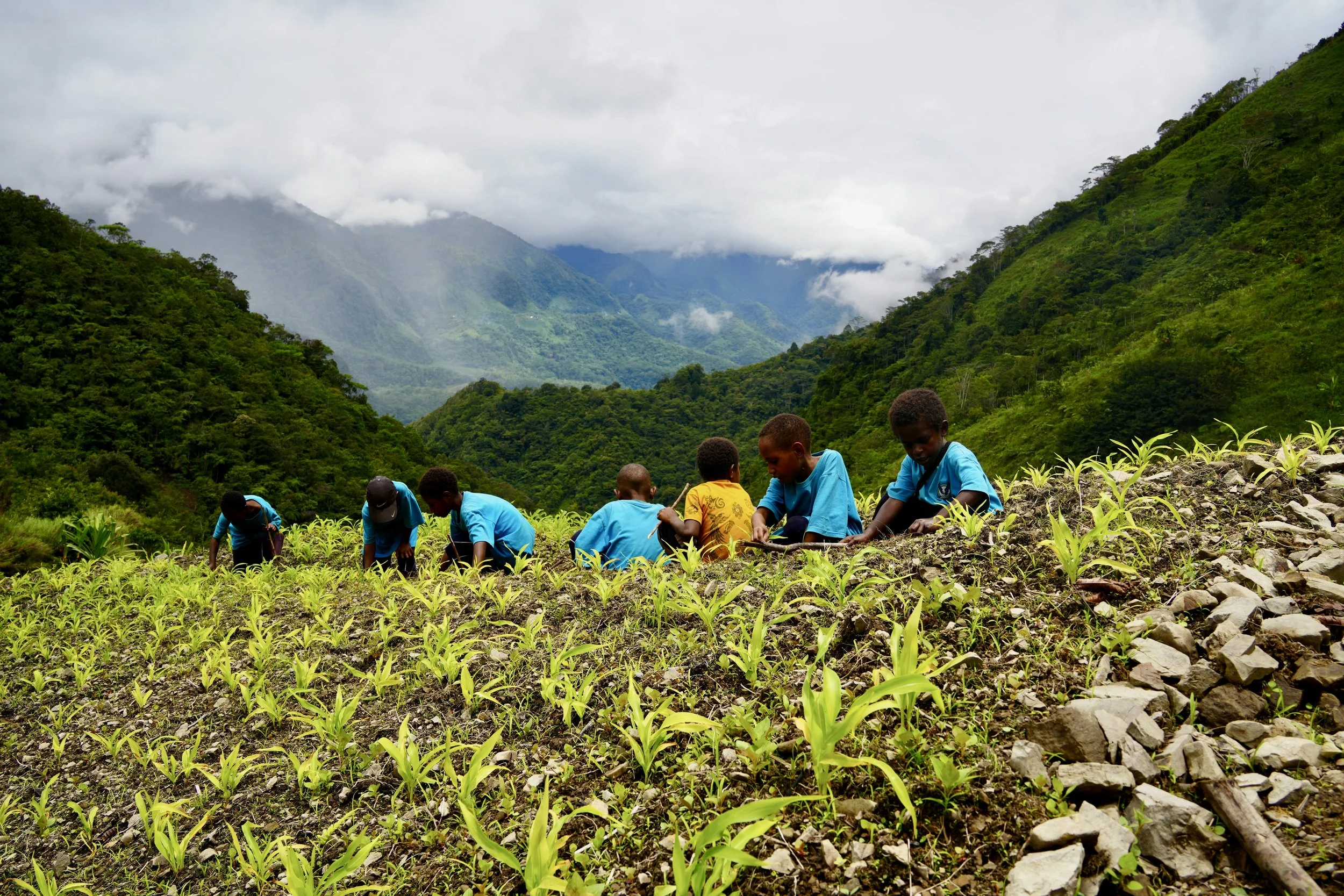 Children planting young plants in a hilly, lush green landscape with mountains and clouds in the background.