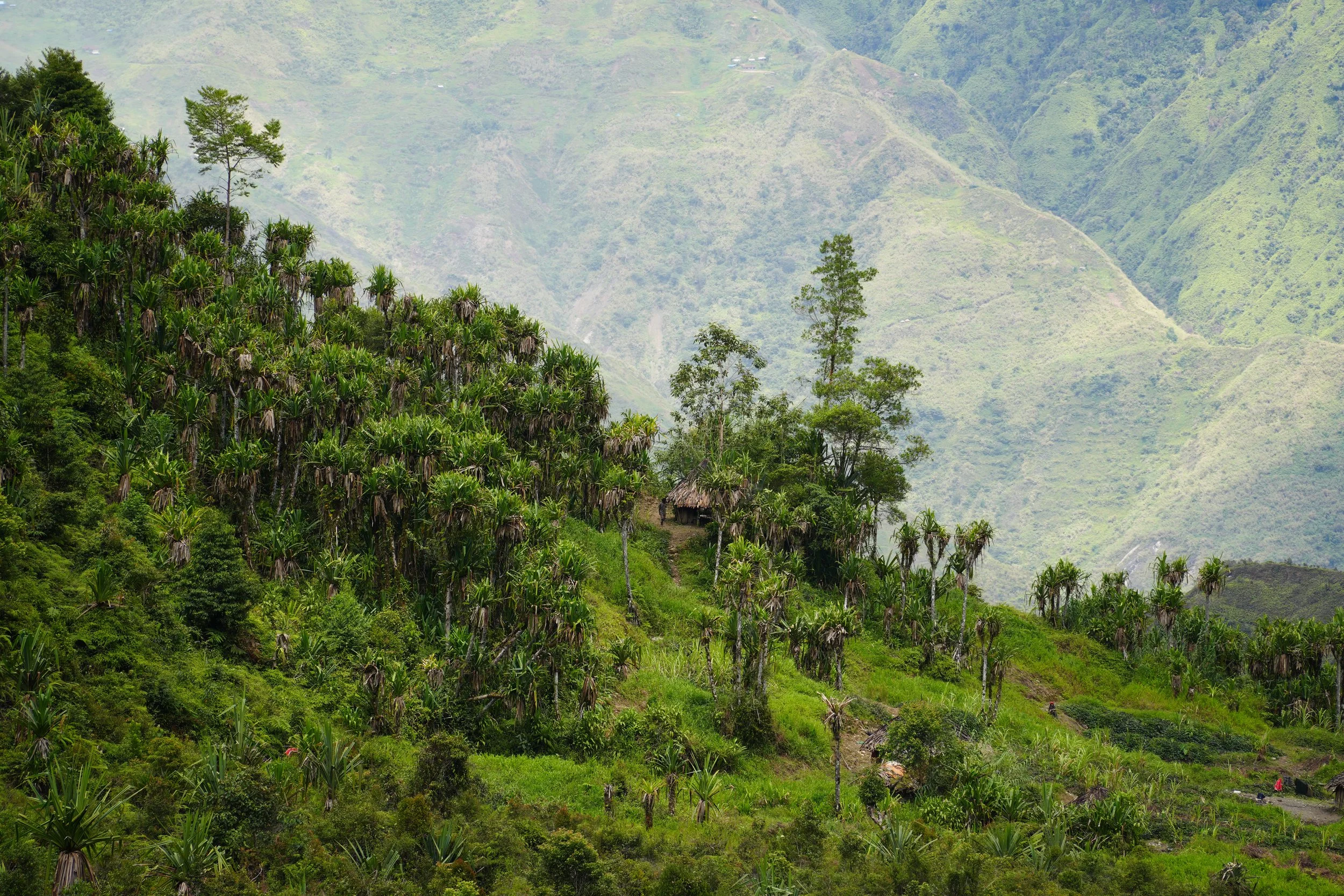 Lush green mountains and a hillside village with thatched roof huts, surrounded by dense tropical vegetation.
