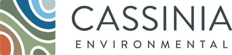 Cassinia Environmental logo with stylized wave design in green, blue, and brown.