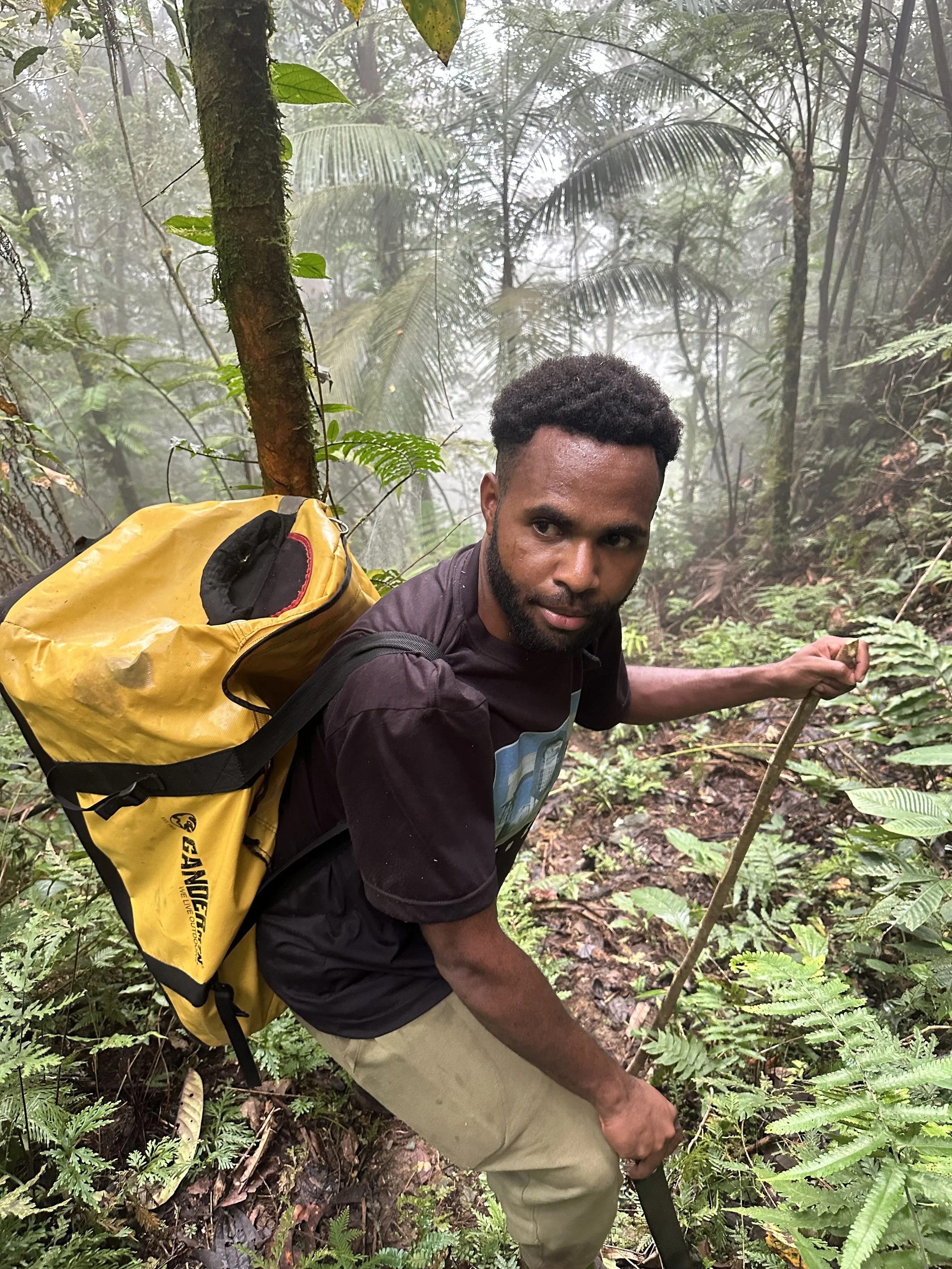 A man with dark skin and curly hair, wearing a black t-shirt and beige pants, carrying a yellow backpack, is kneeling in a lush, misty rainforest with green plants and trees around him.