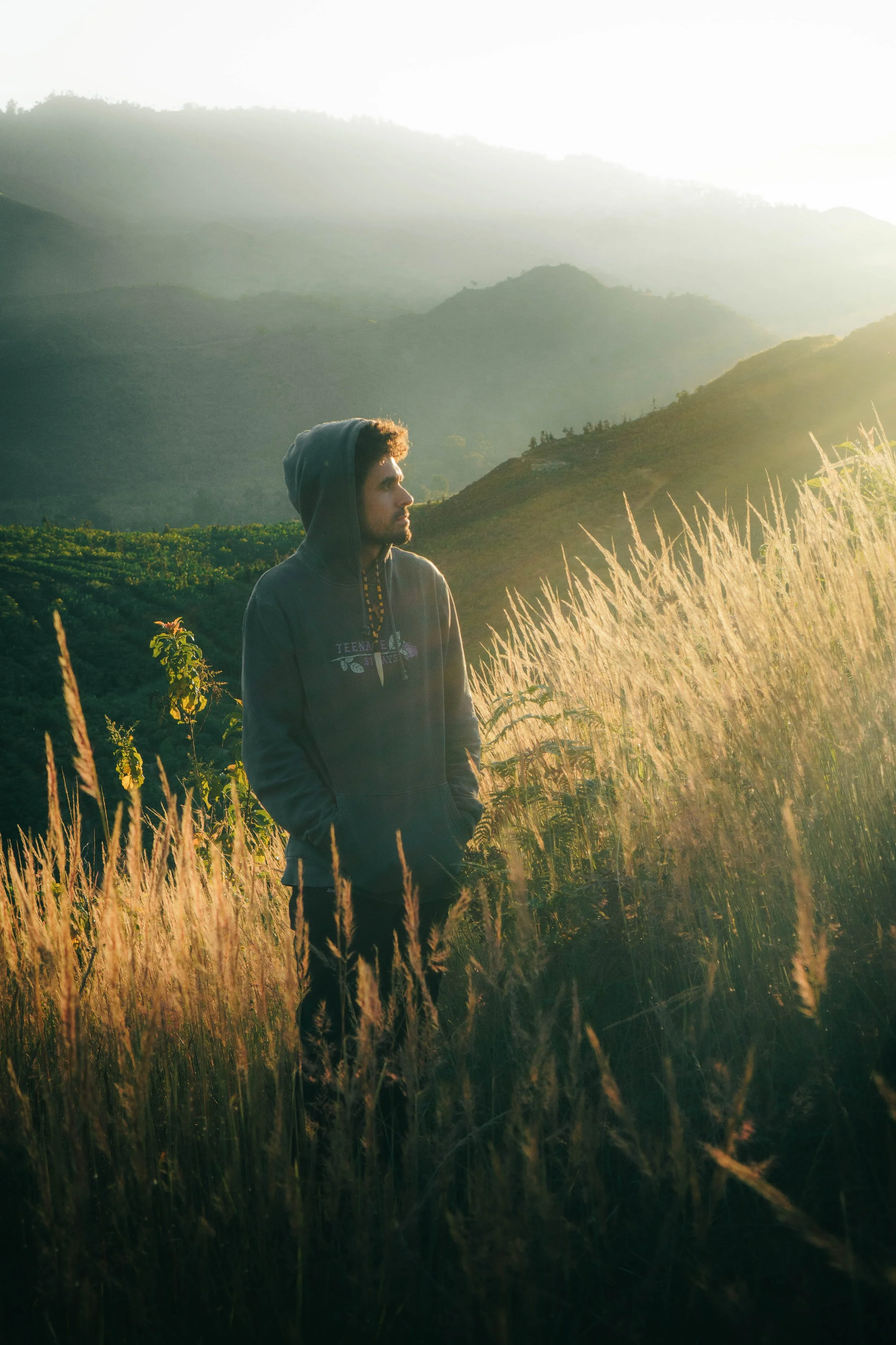 A young man wearing a dark hoodie stands in a field of tall grasses with mountains in the background and sunlight illuminating the scene.