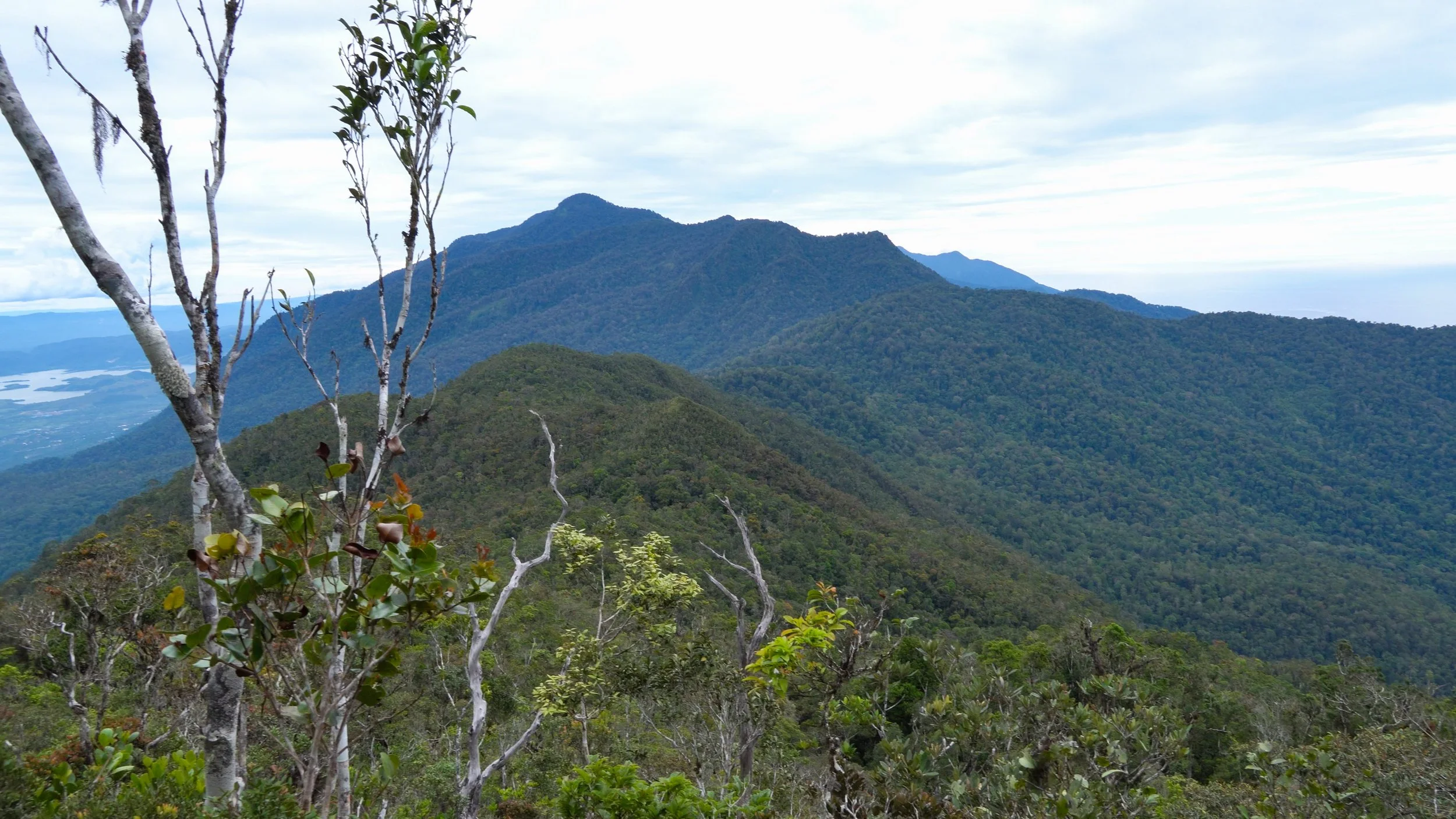 Mountain landscape with lush green trees and vegetation, view of distant mountains under a cloudy sky.