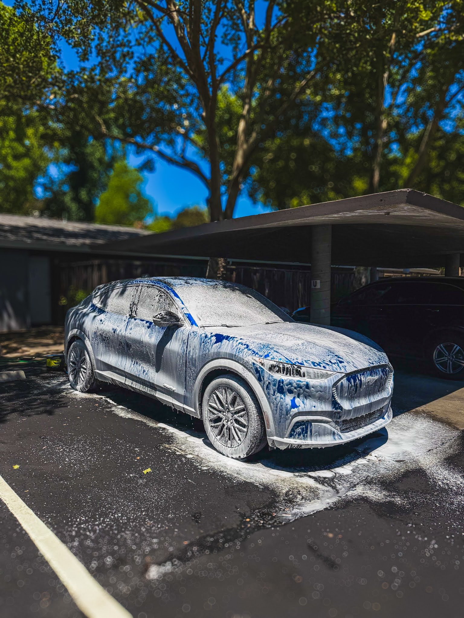 A silver SUV covered in soap suds parked in an outdoor parking lot with foam on the ground and surrounding the vehicle, with a background of trees and a wooden fence.