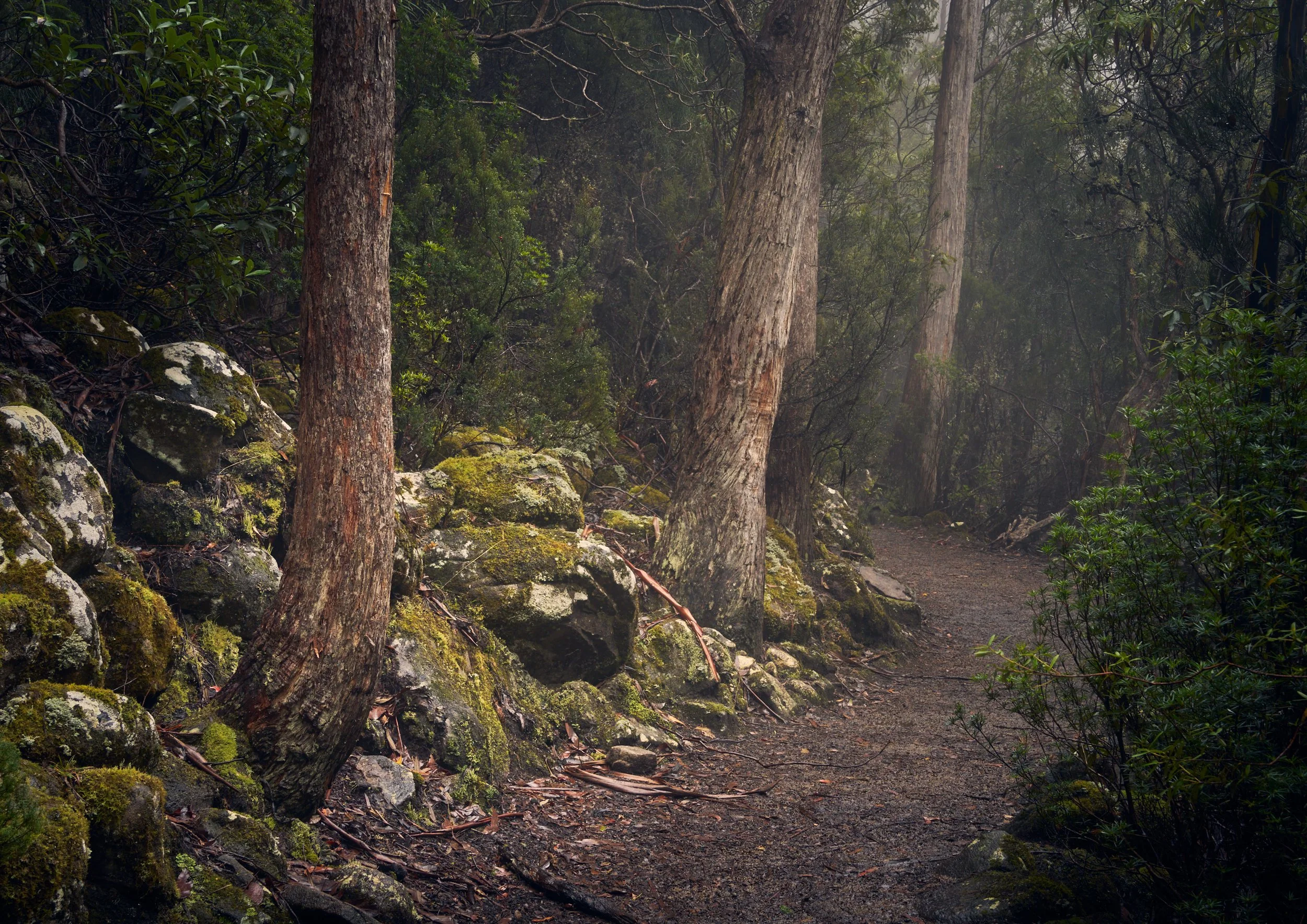 The Gathering Gloom