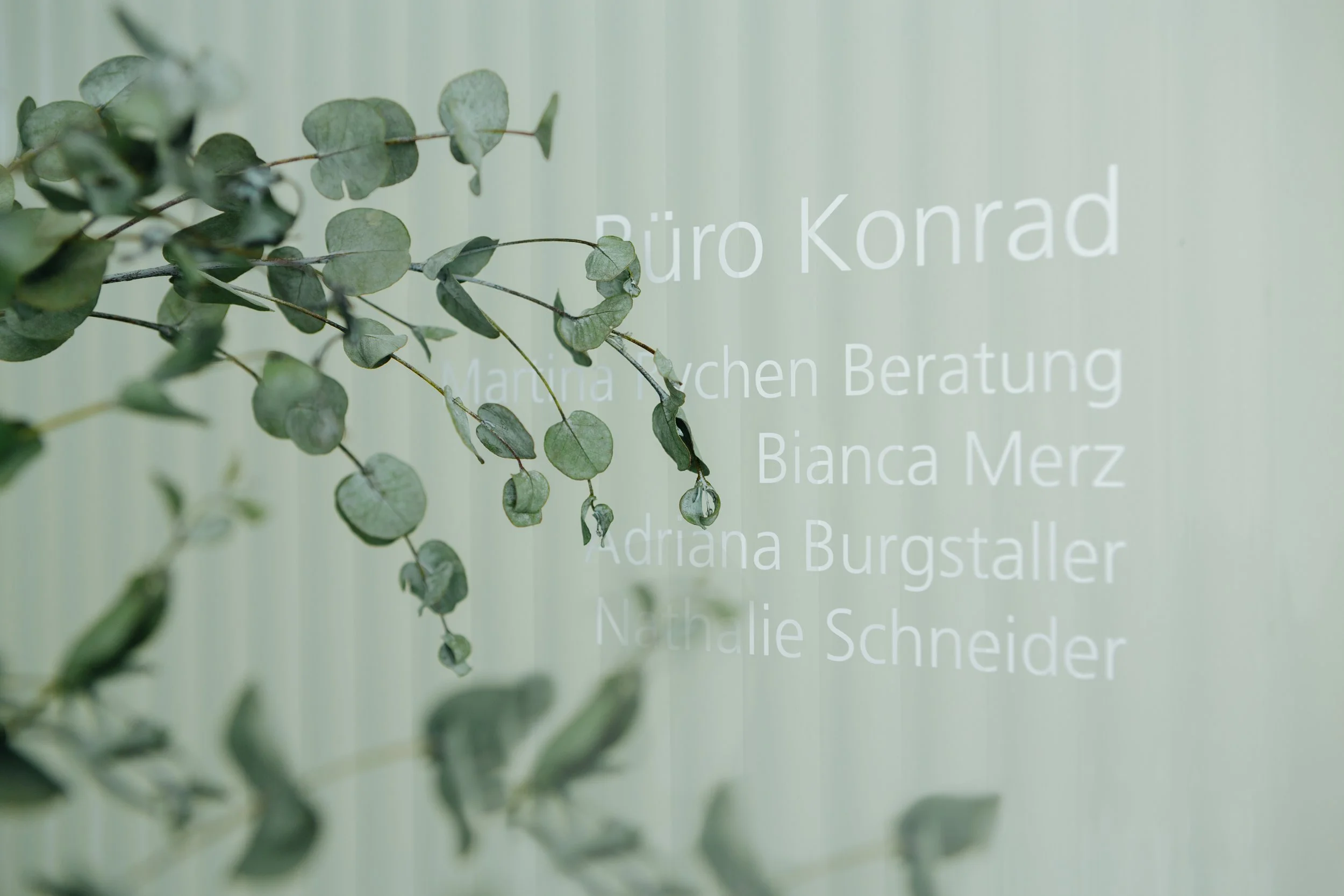 Büro Beschilderung mit grünen Blättern im Vordergrund, Text ist teilweise sichtbar