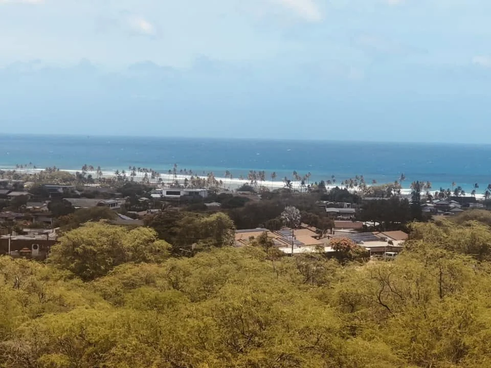 diamond head 3.jpg