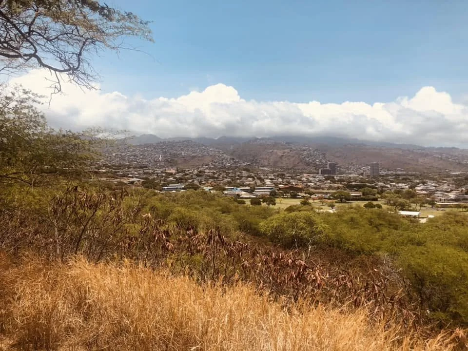 diamond head 2.jpg