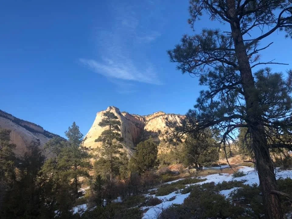 zion-sandstone-and-snow.jpg