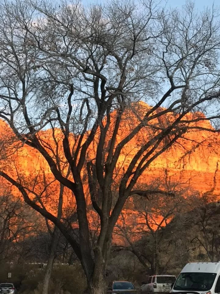 zion-sunlit-red-cliff.jpg