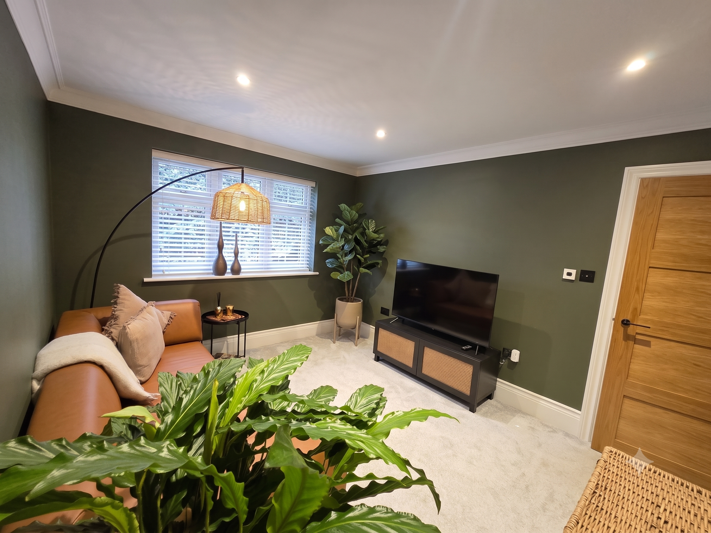 Living room with green walls, a window with white blinds, a lamp on a side table, a TV on a black TV stand, a large potted plant, and a brown door.