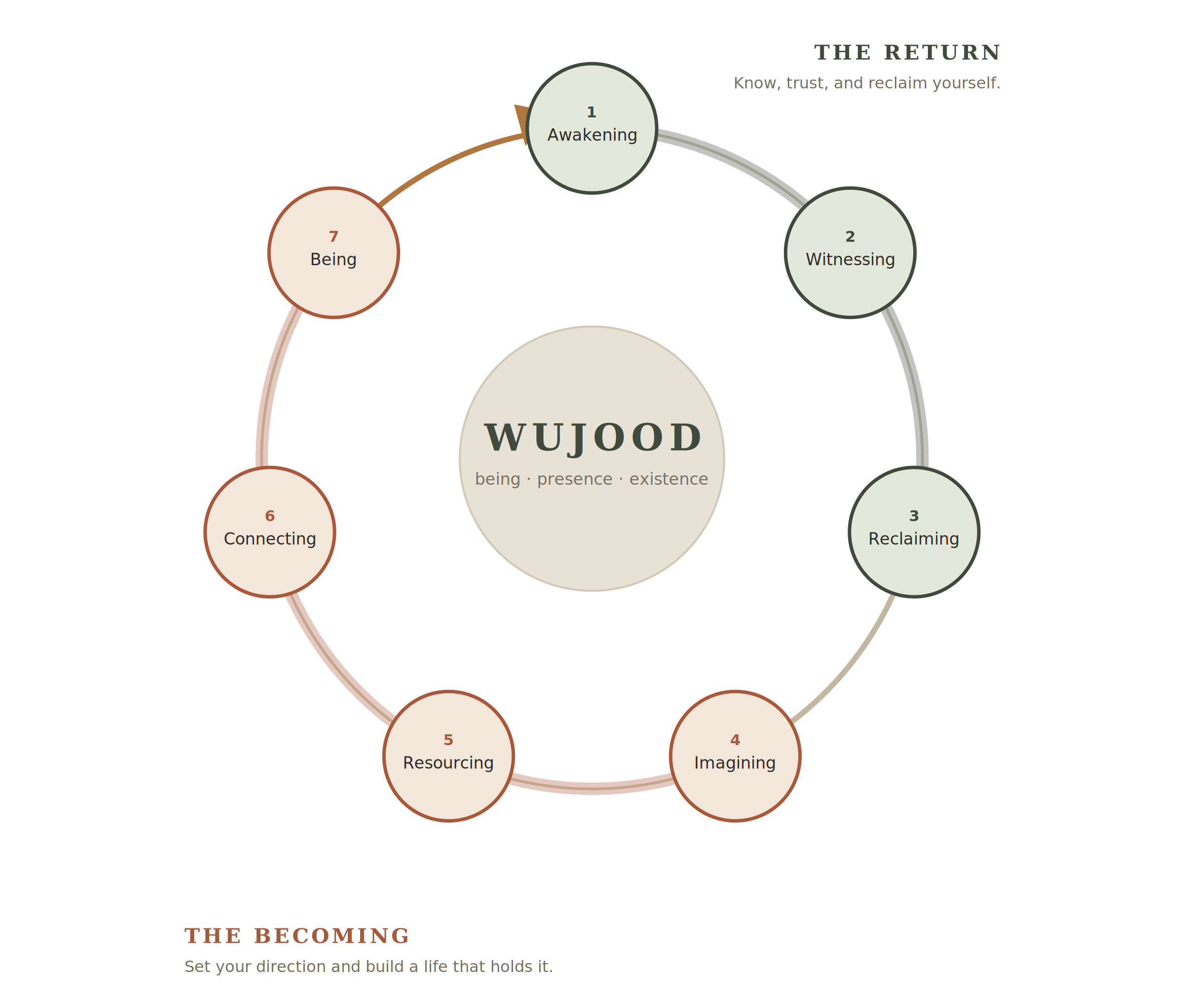 Diagram illustrating a seven-stage cycle with stages titled: 1. Awakening, 2. Witnessing, 3. Reclaiming, 4. Imagining, 5. Resourcing, 6. Connecting, 7. Being.