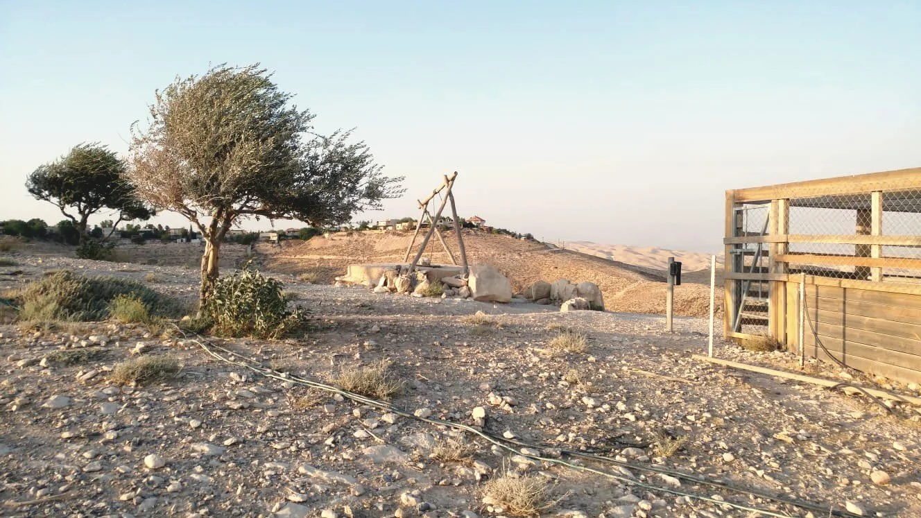 A desert landscape with a single tree, a swing set, rocks, and a wooden fence in the background.