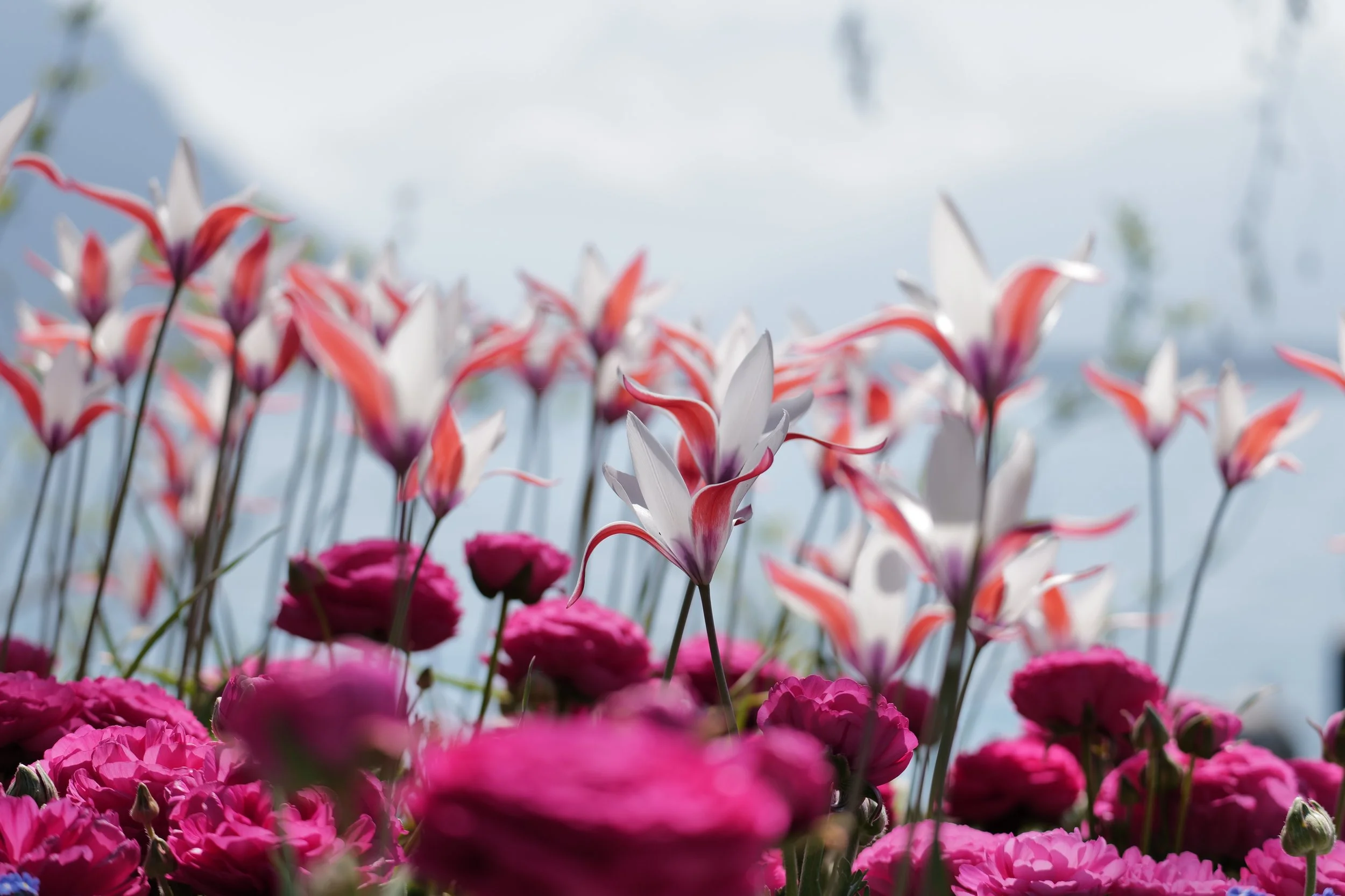 E021E88B-14D3-469F-885A-1936A7609C5D.jpeg