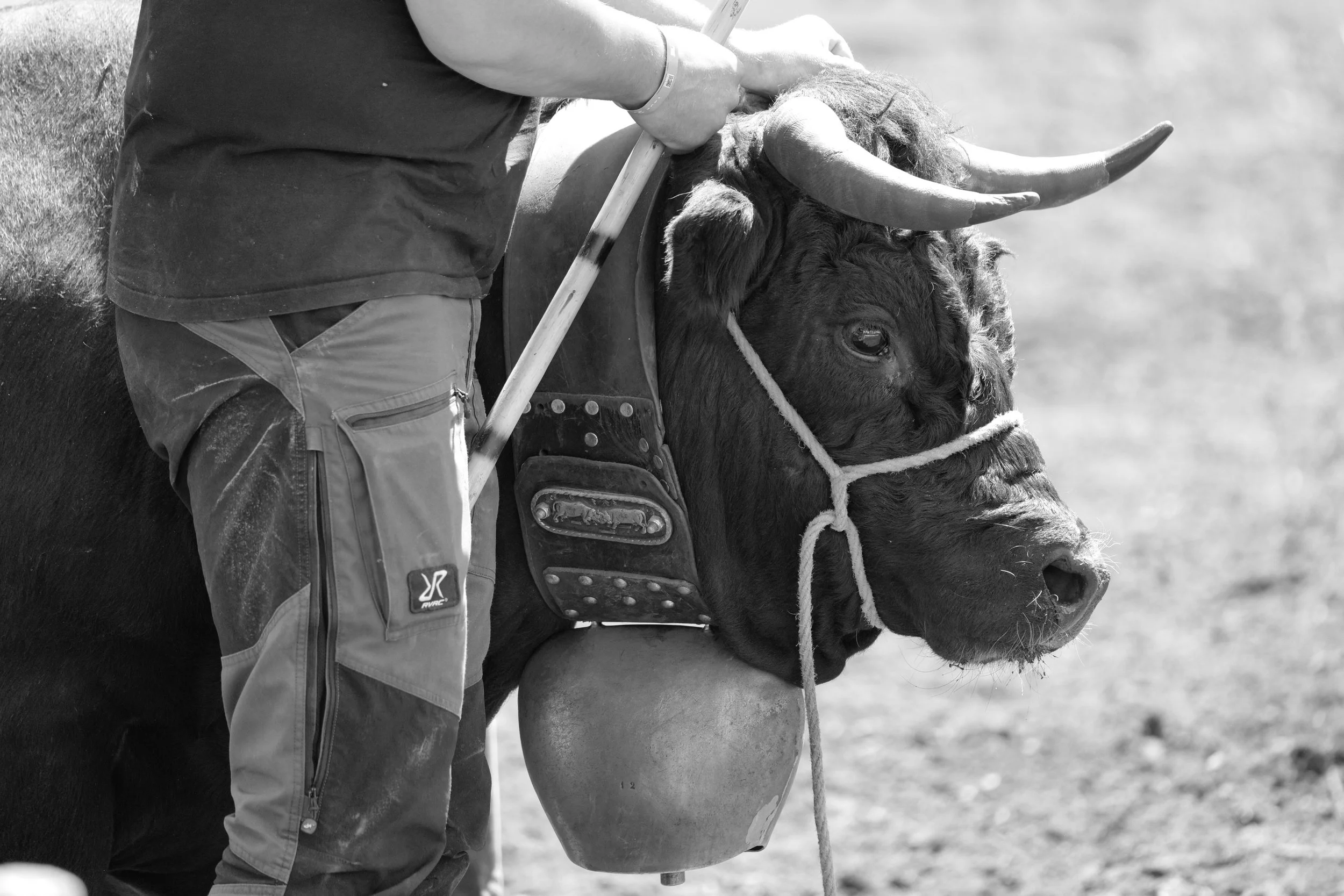 E160D881-48F3-4868-B8AD-943EEC8FF927_1_201_a.jpeg