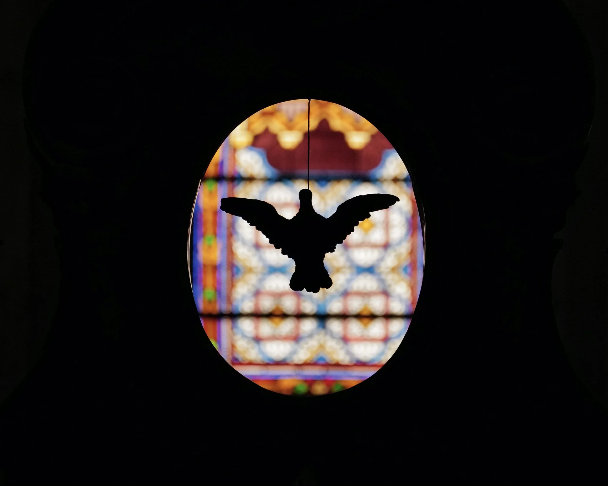 8C1F1C68-5FCB-4459-8B2B-533C765684B6_1_201_a.jpeg