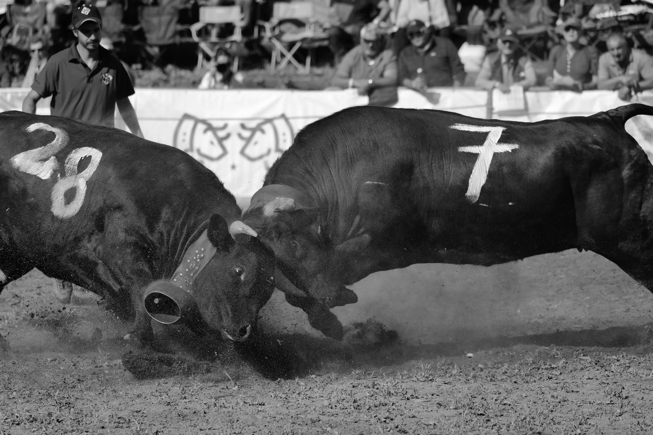 2CDA0614-5DEC-4DFF-8501-10CA1C7076C5_1_201_a.jpeg