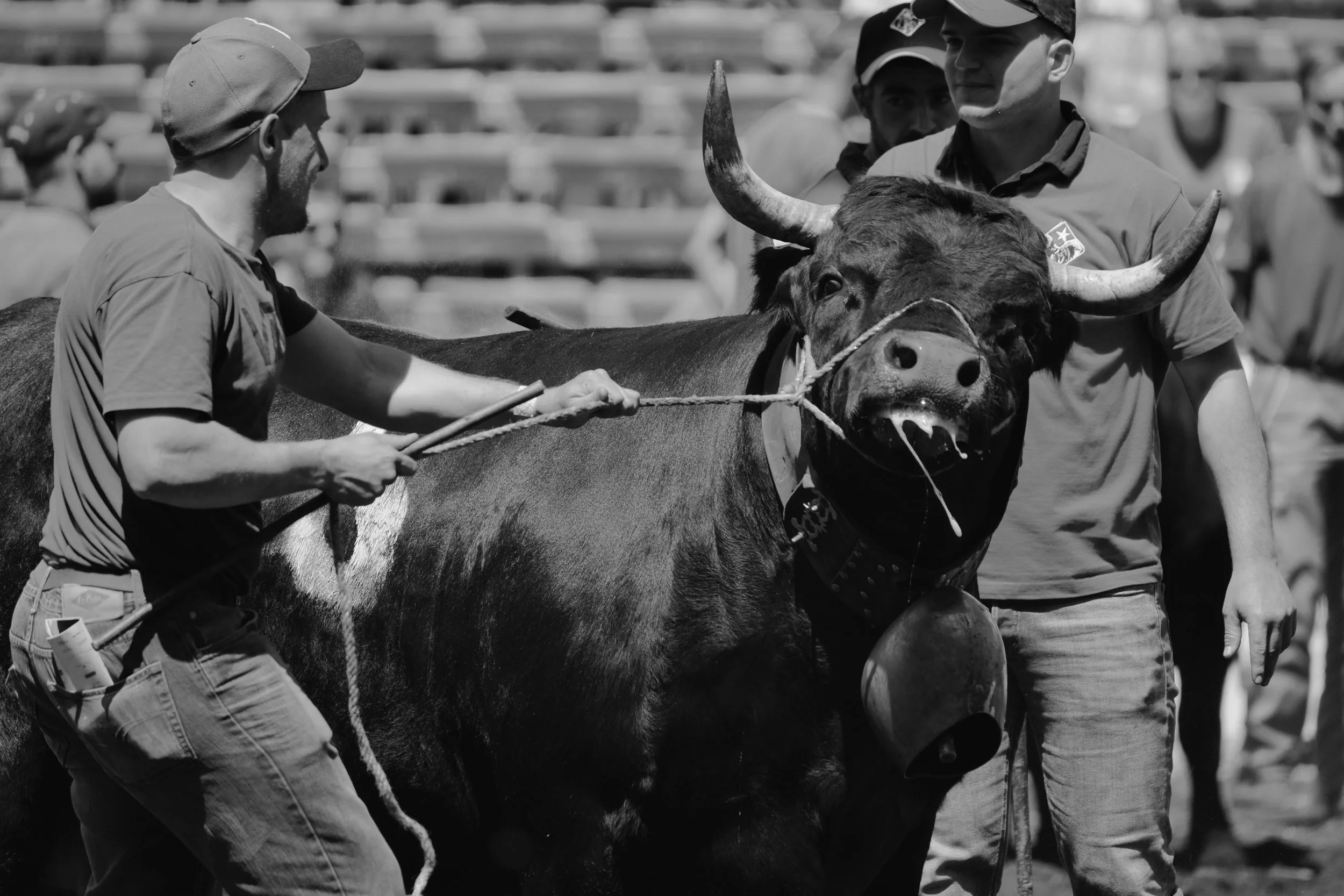 579055D6-2C29-43EF-A603-21A87E7C204C_1_201_a.jpeg