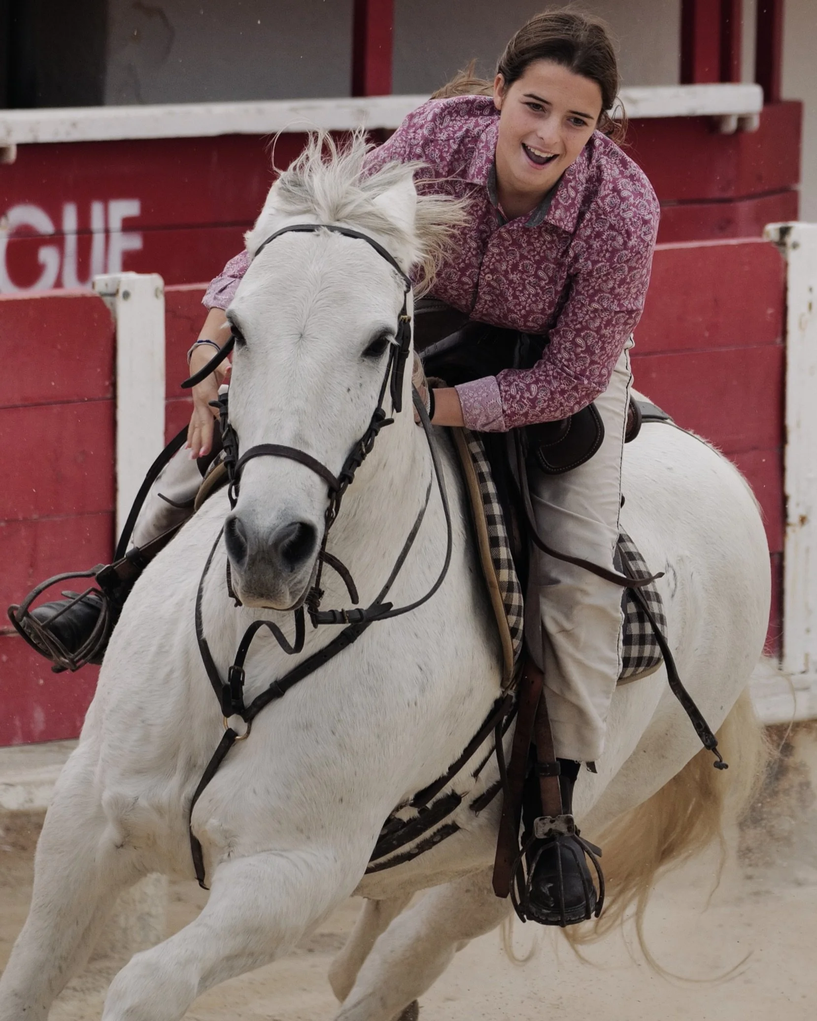 53F6466D-EECA-4619-B05E-7CAE6C009F86_1_201_a.jpeg