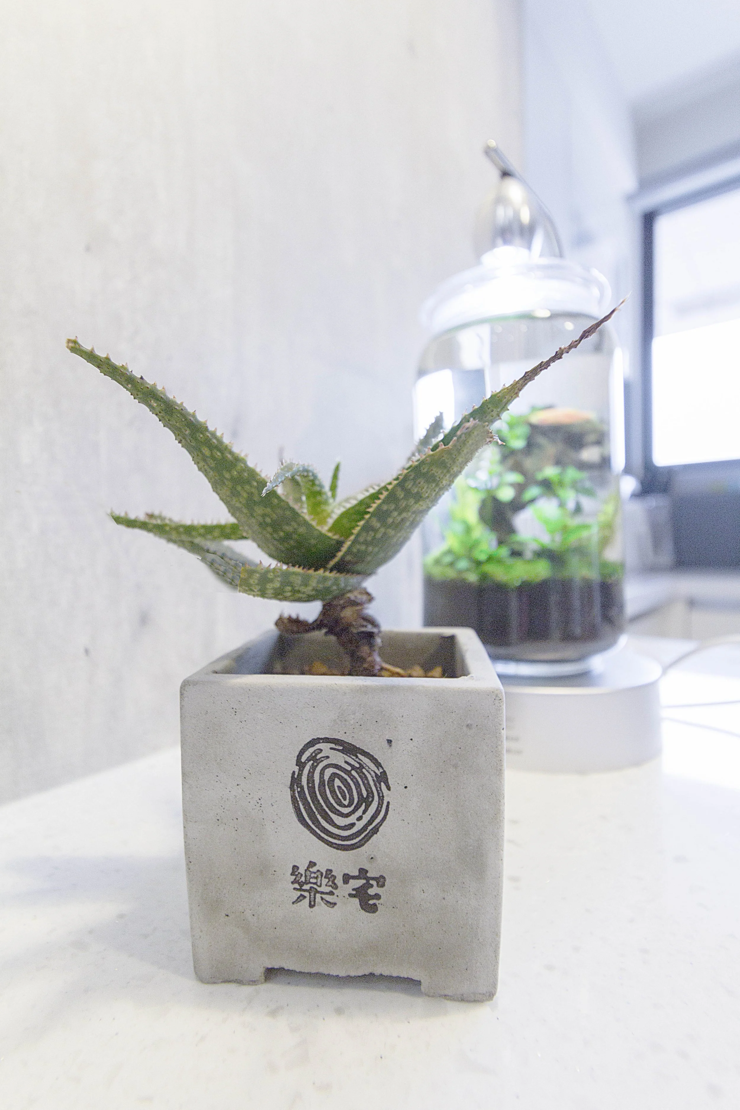 汐止中研A+兩房兩廳18坪新屋裝修.jpg