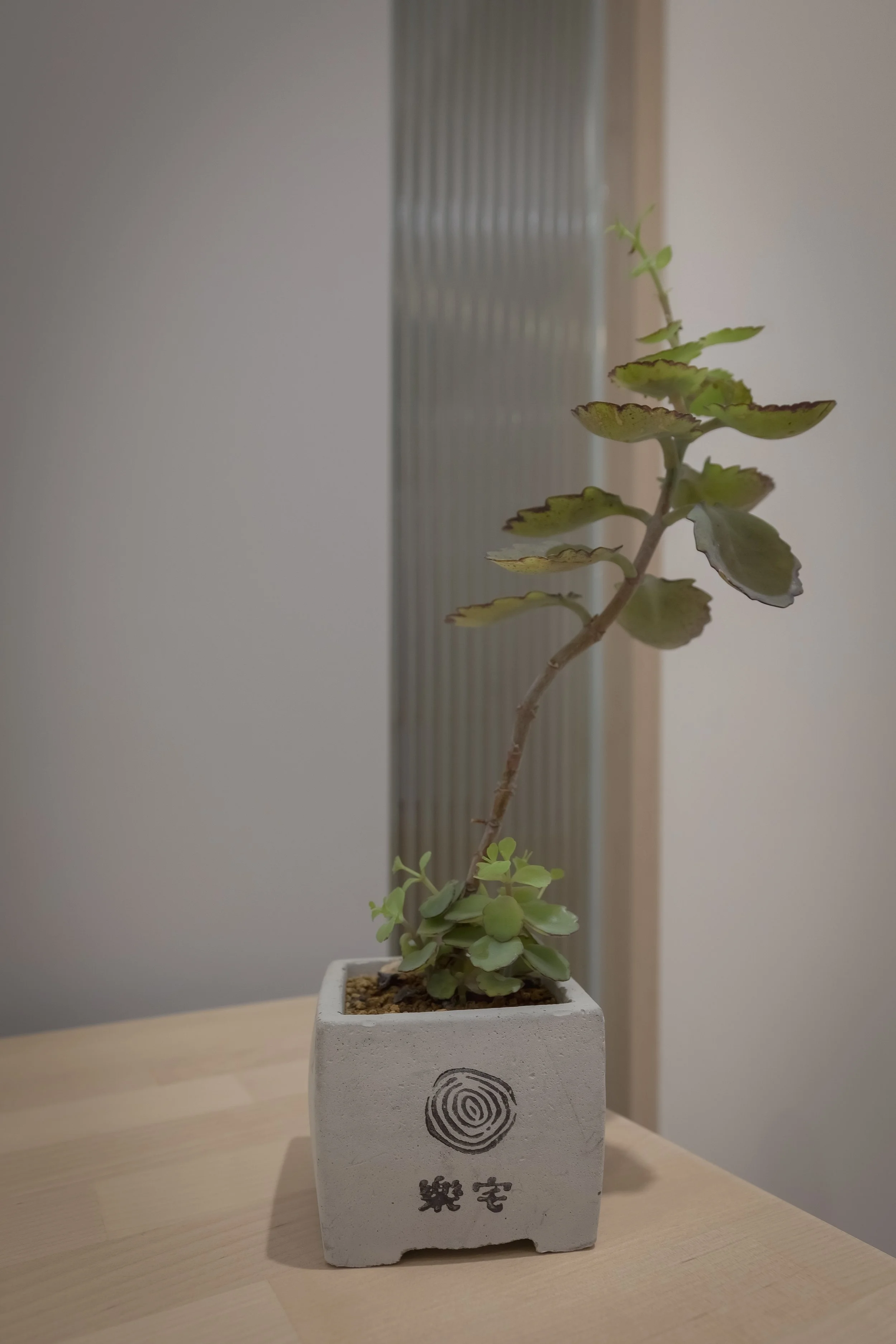 中北大社區30坪三房兩廳舊屋翻新_EE_0060.JPG