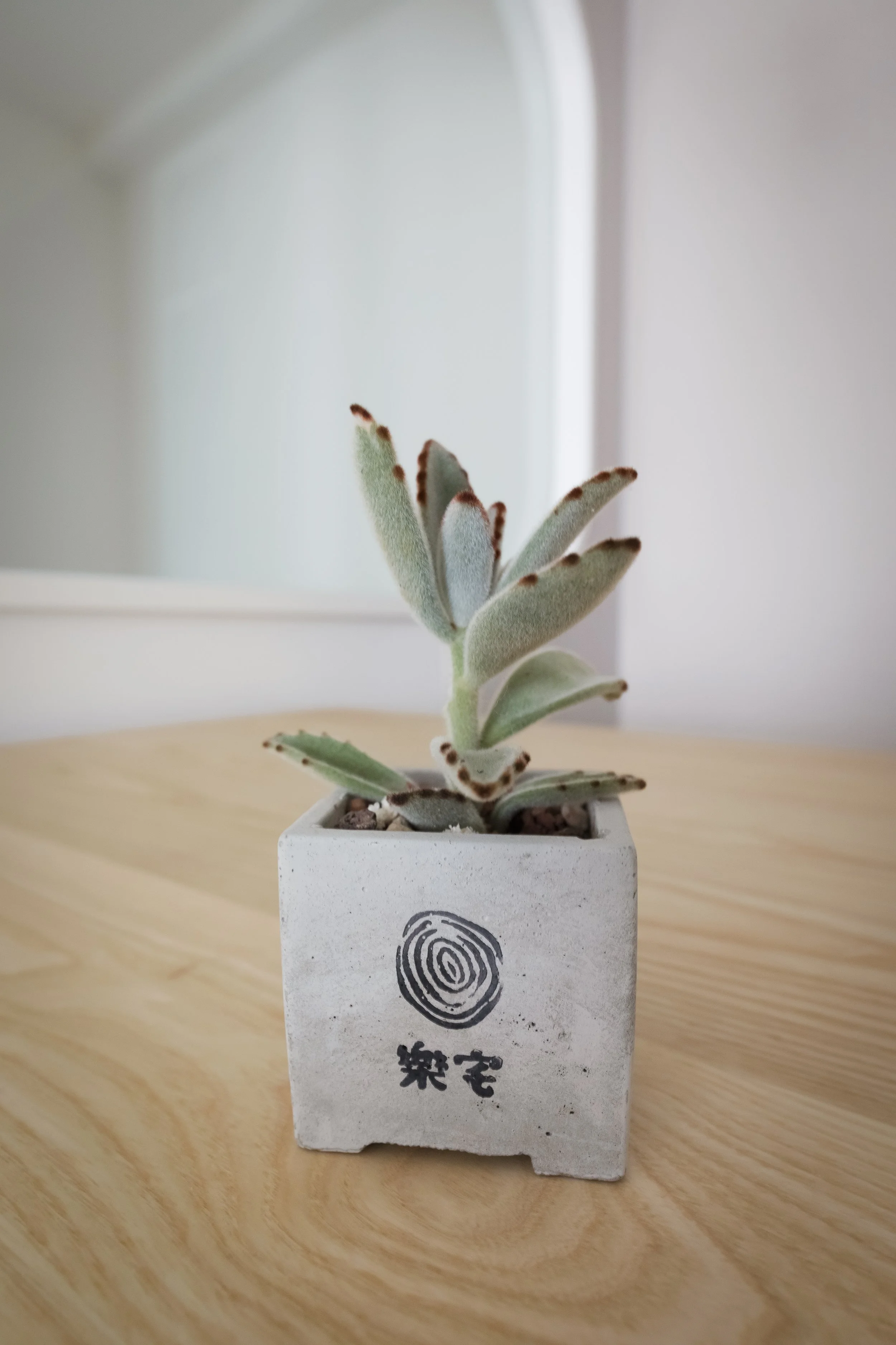 樂宅設計｜土城三房兩廳新成屋_EE_0482.JPG