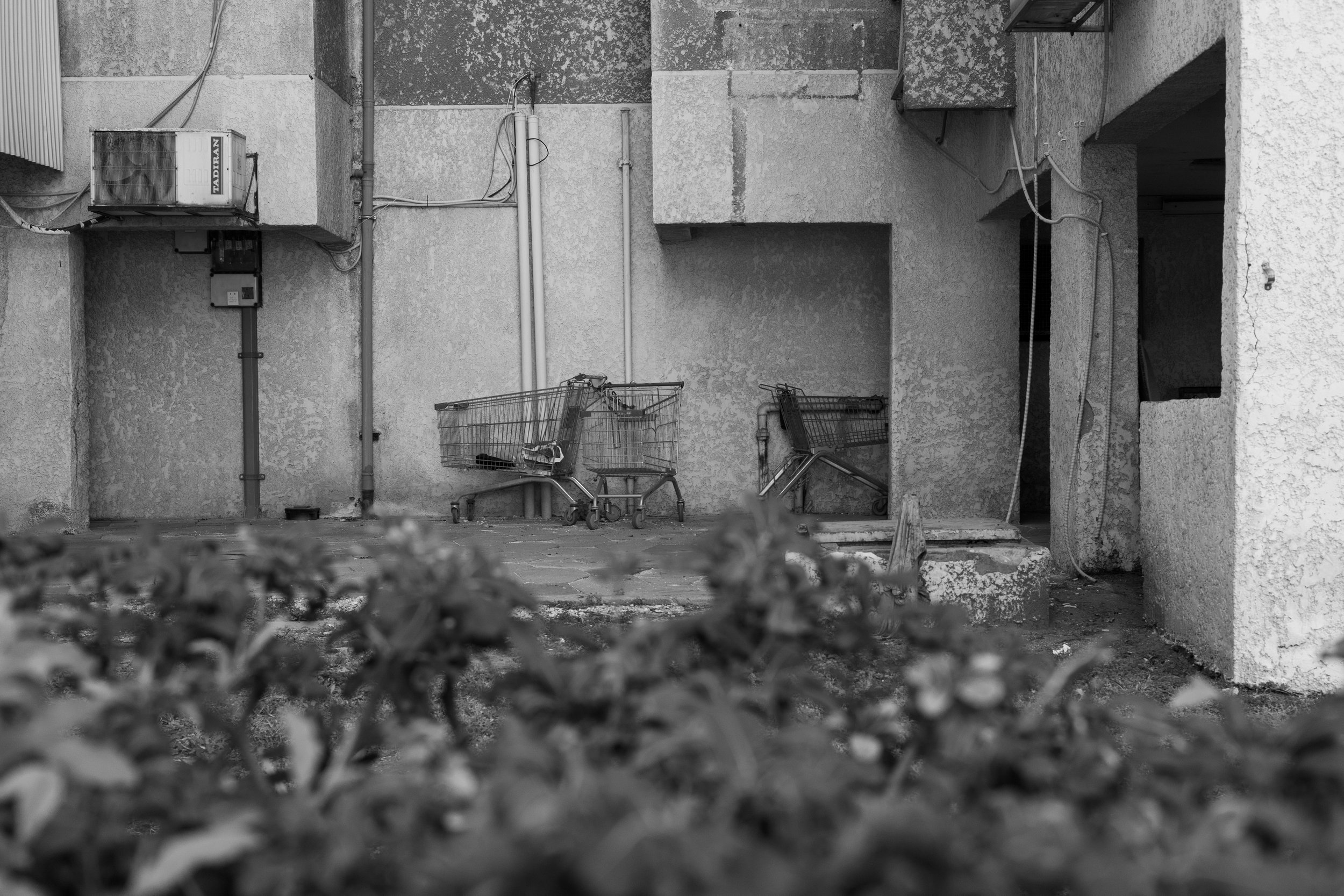 inbetween (8 of 15).jpg