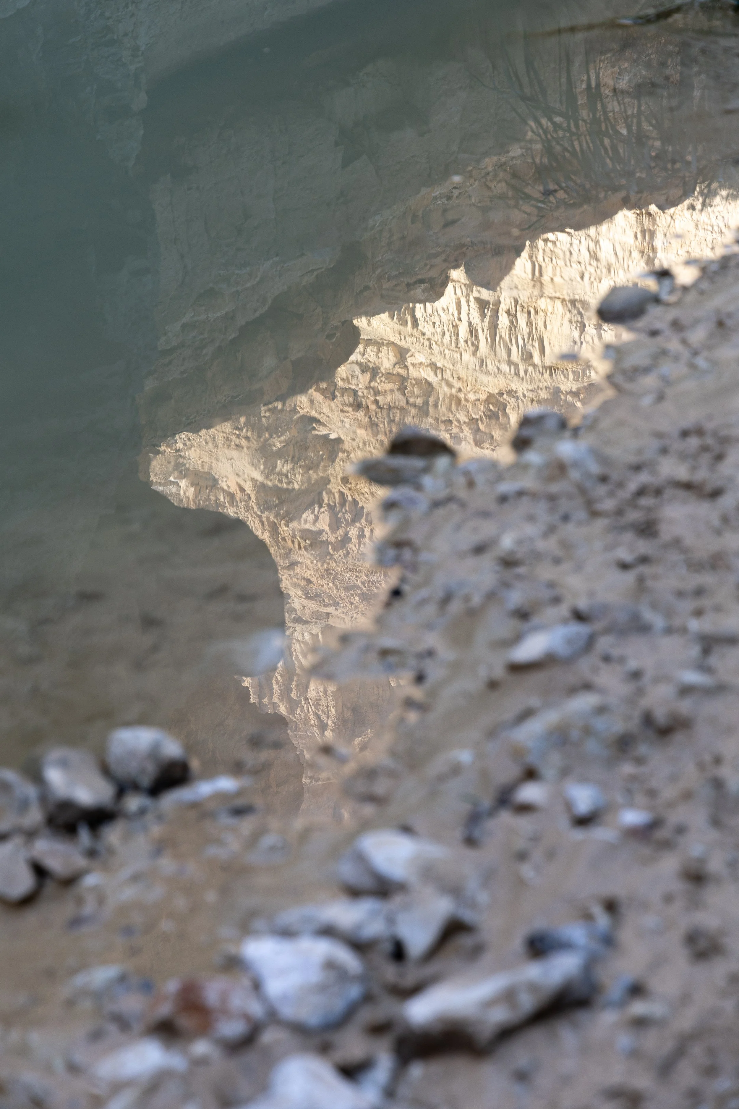 ein gedi 2025-42.jpg