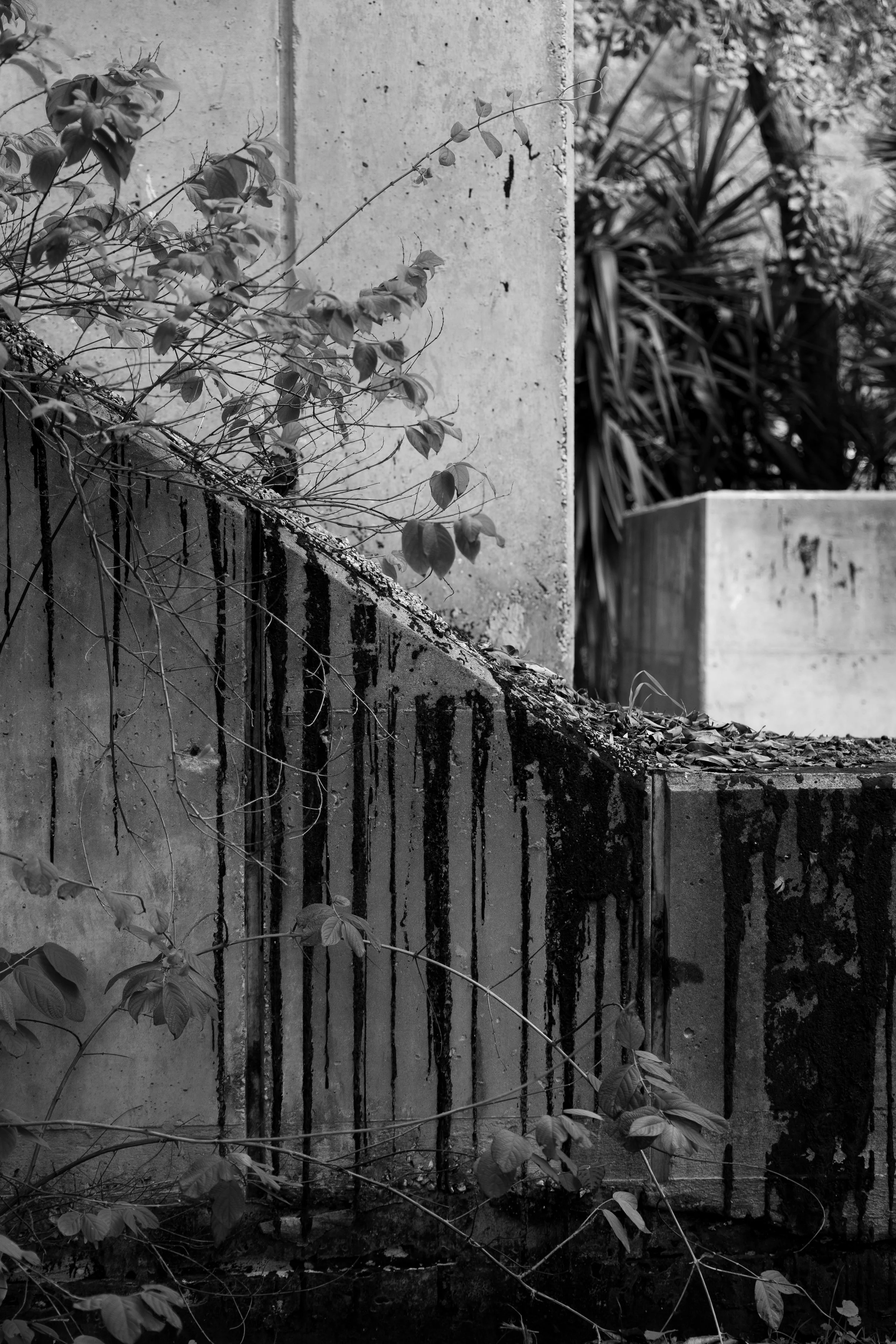 inbetween (1 of 15).jpg