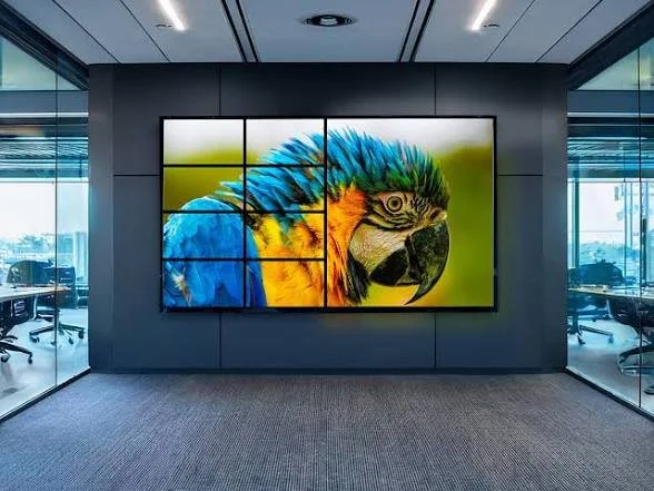 A multi-screen display showing a close-up image of a colorful parrot with blue, yellow, and green feathers inside a modern conference room with glass walls.