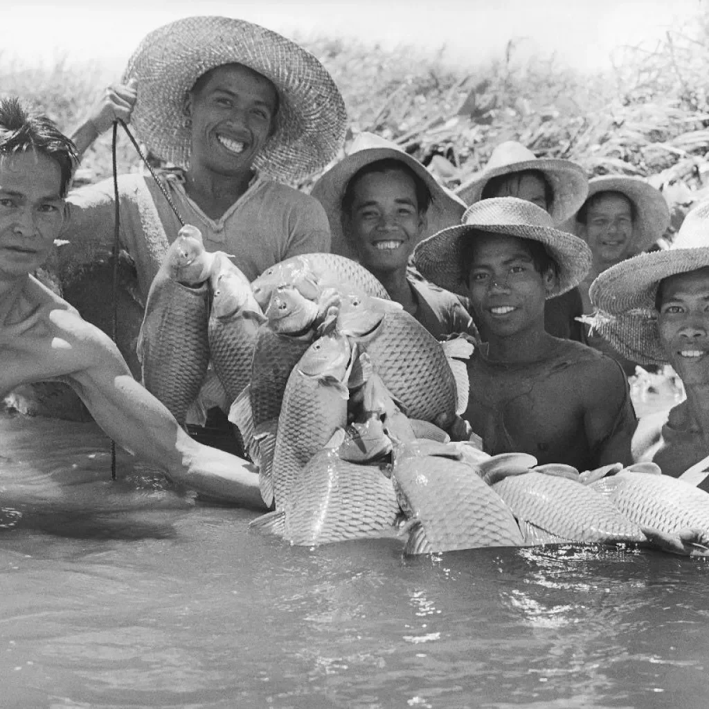The Day’s Catch 03.webp