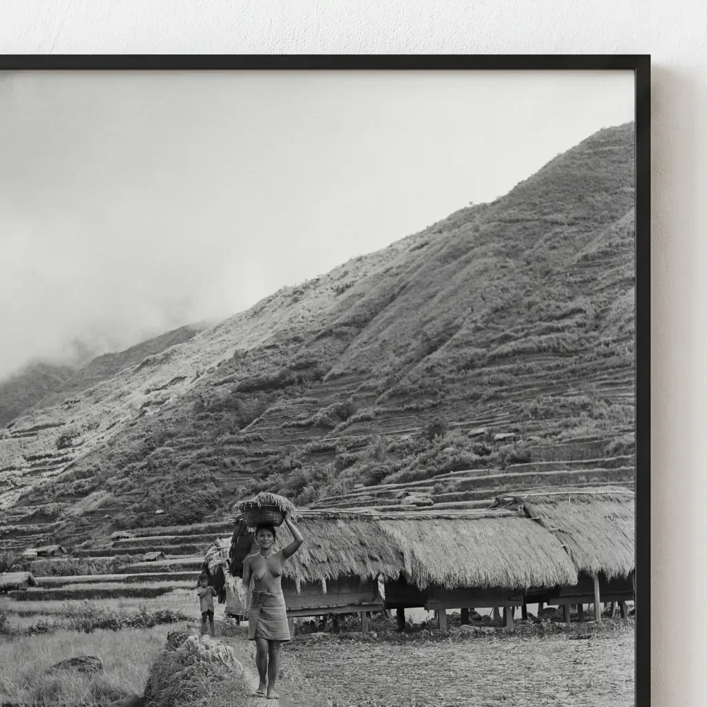 Along the Terraces 02.webp