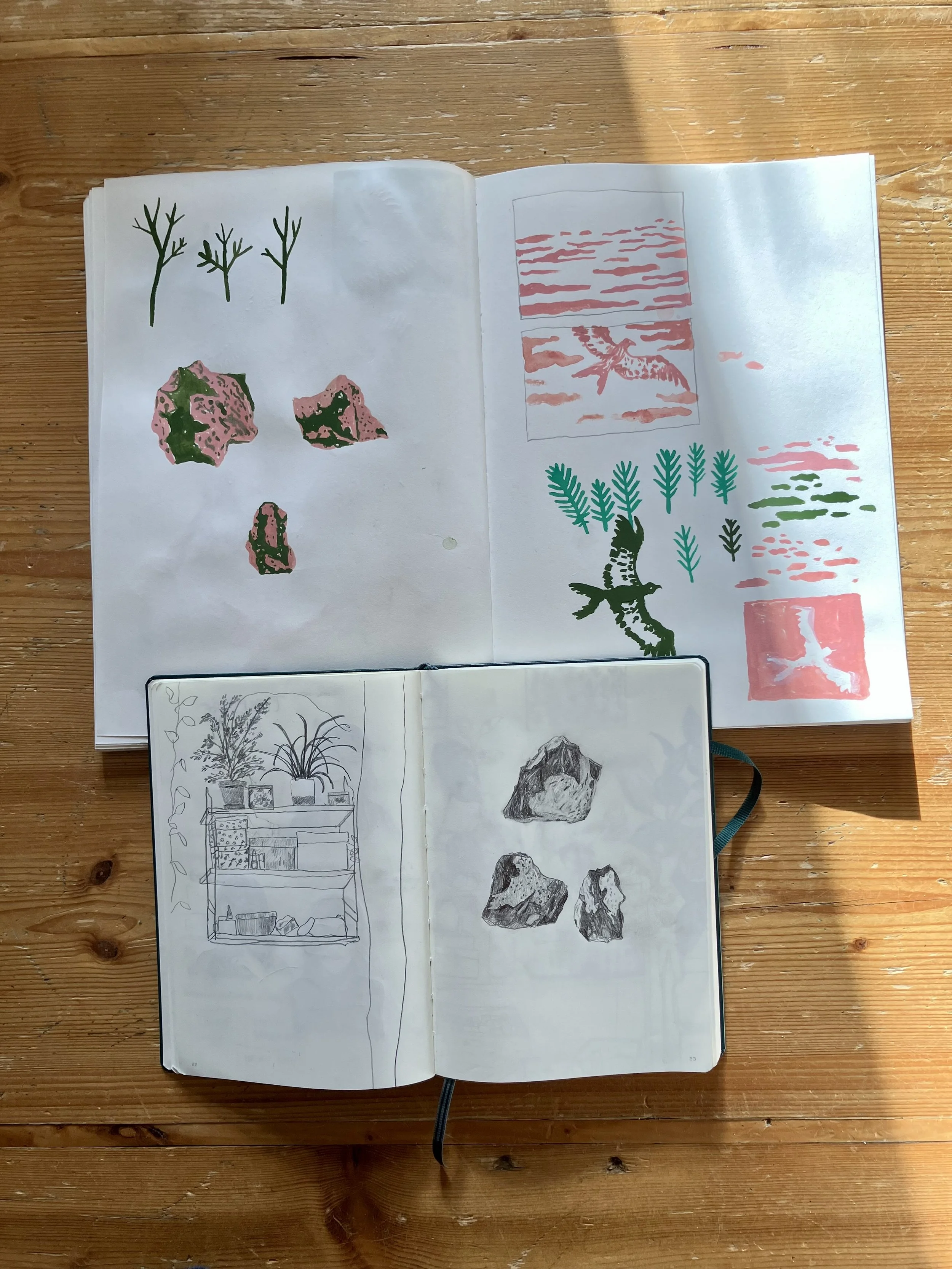 IMG_1121.jpeg