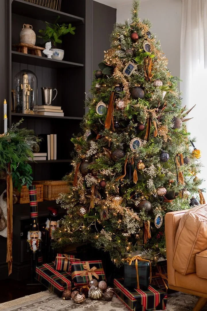Sharp xmas tree.jpeg