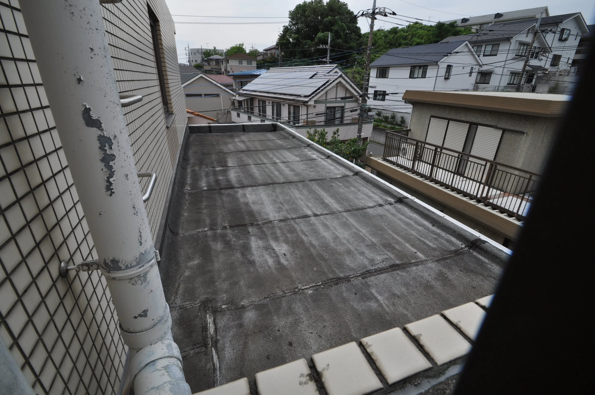 DSC_7628.jpg