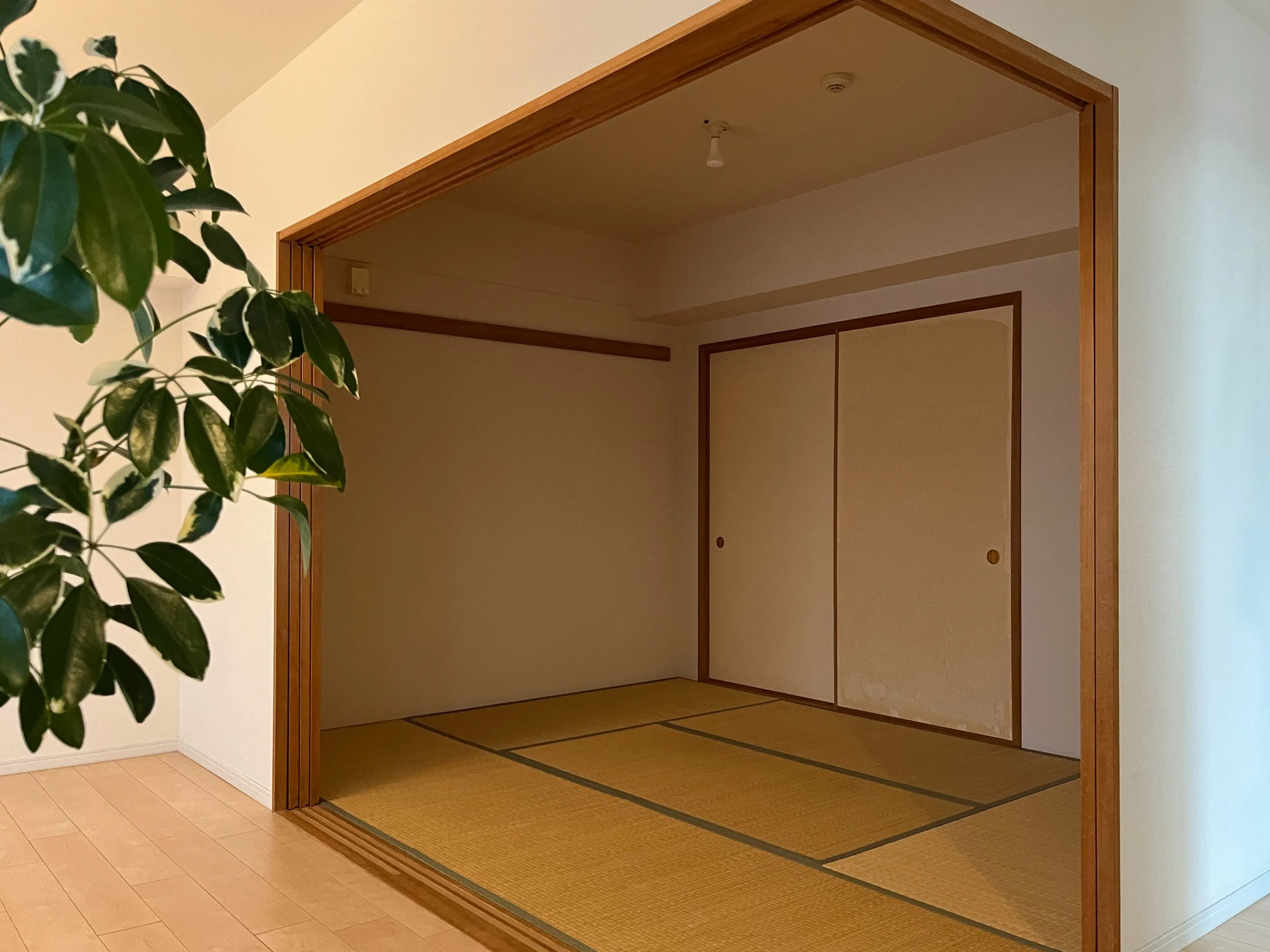 Before