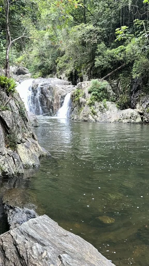 A peaceful river scene with a small waterfall flowing into a calm water pool surrounded by rocks and lush green trees.