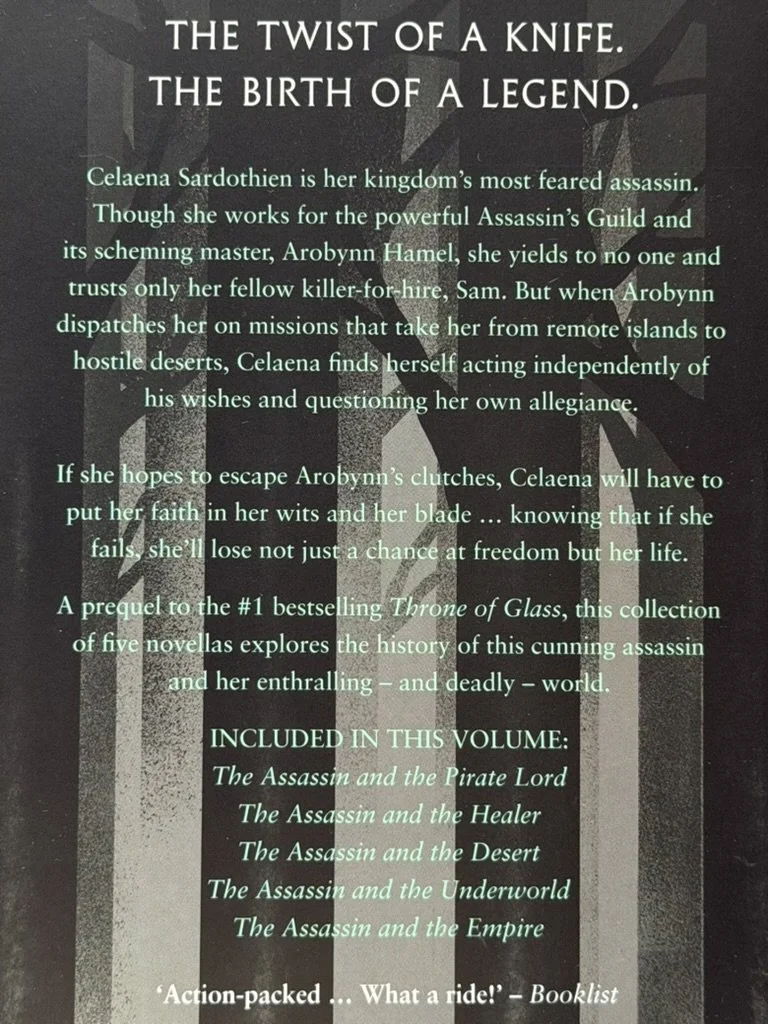 Assassins Blade Blurb.jpg