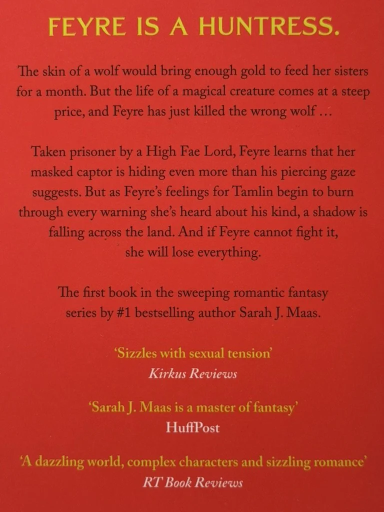 ACOTAR Blurb.jpg