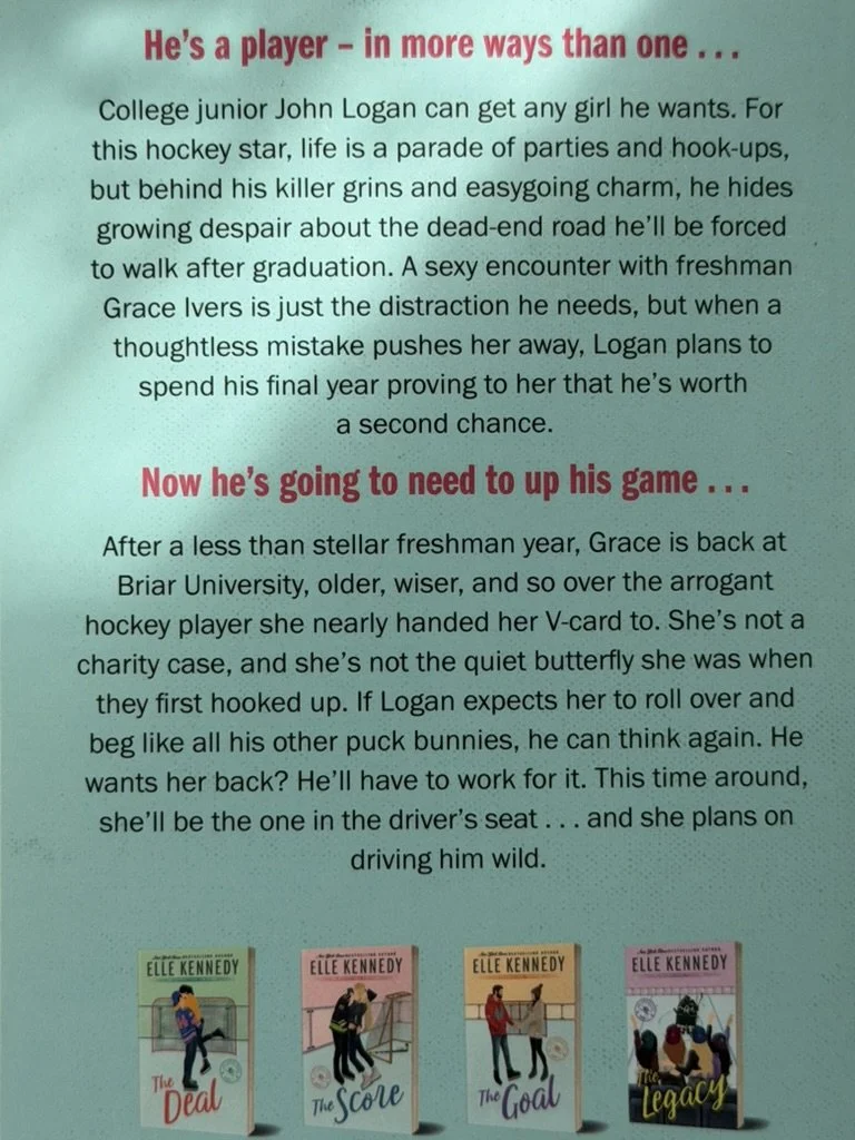 The Mistake Blurb.jpg