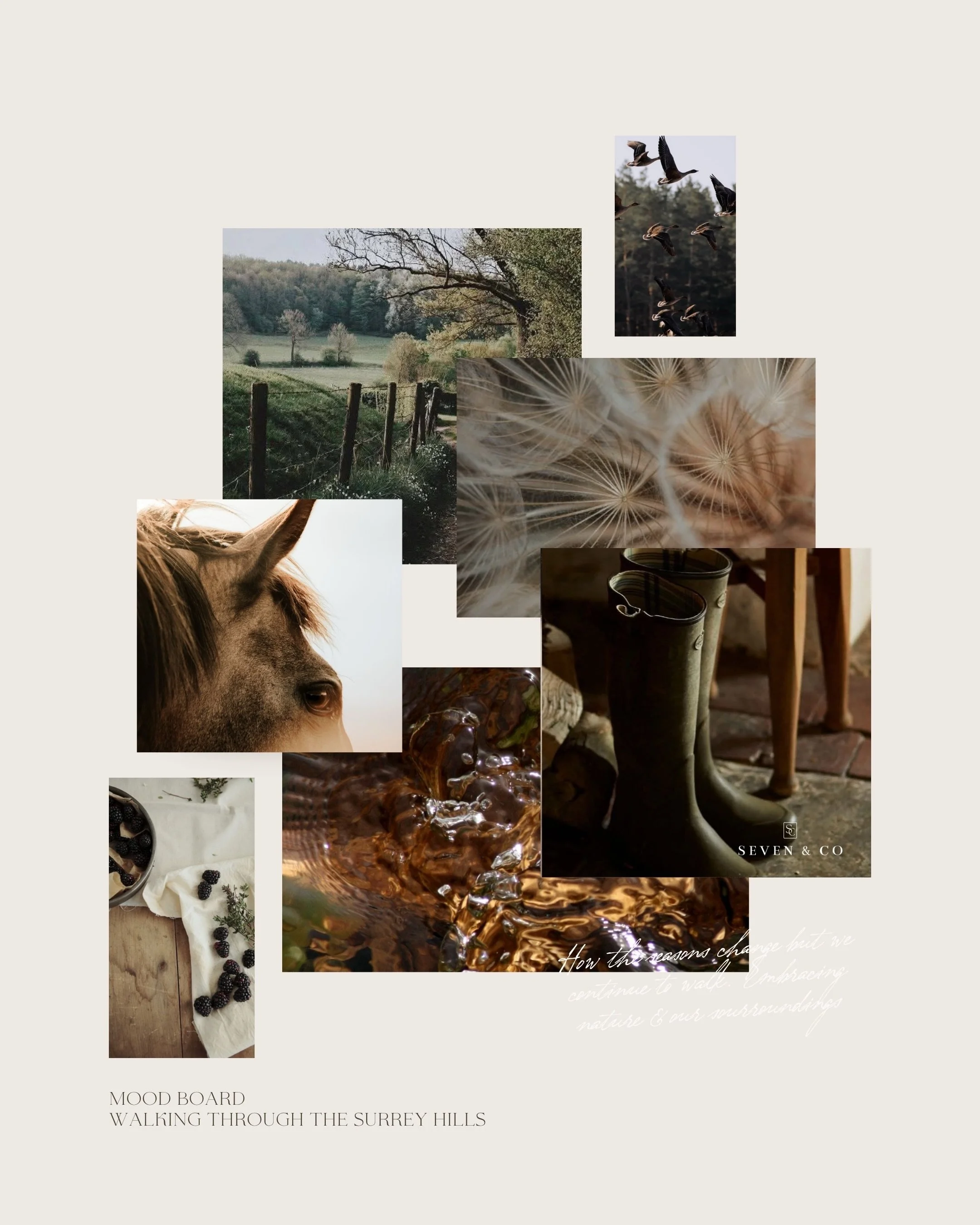 There&rsquo;s something special about a walk through the Surrey Hills in autumn, where every turn reveals a different expression of the landscape. This month&rsquo;s client mood board began right there.

Our design direction explores the shifting col