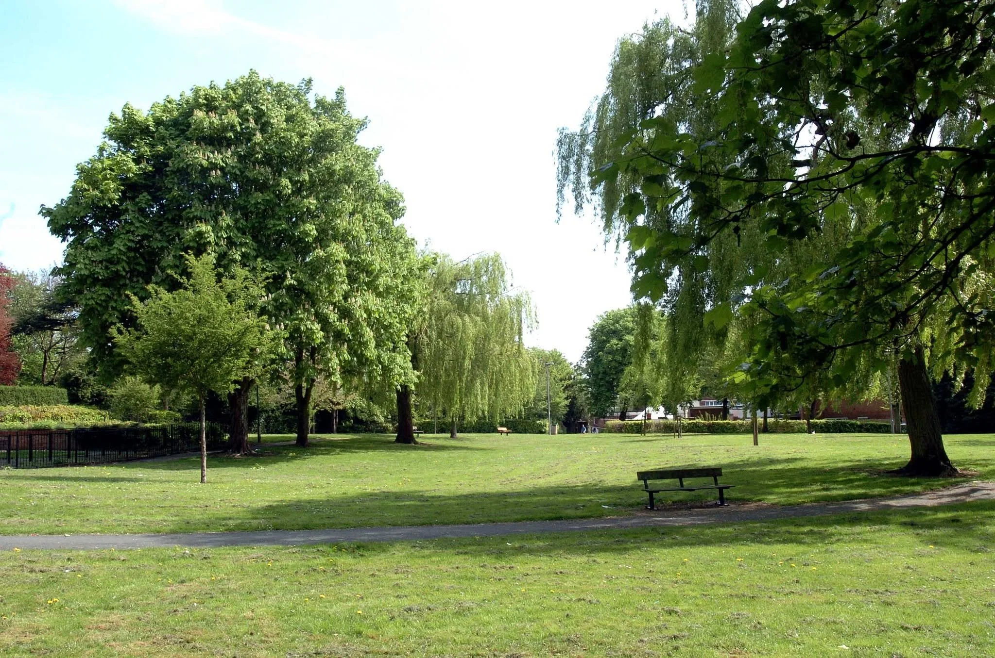 A park with green grass, surrounded by trees, some of which have hanging branches. There are a few benches and people in the distance. The sky is clear and sunny.