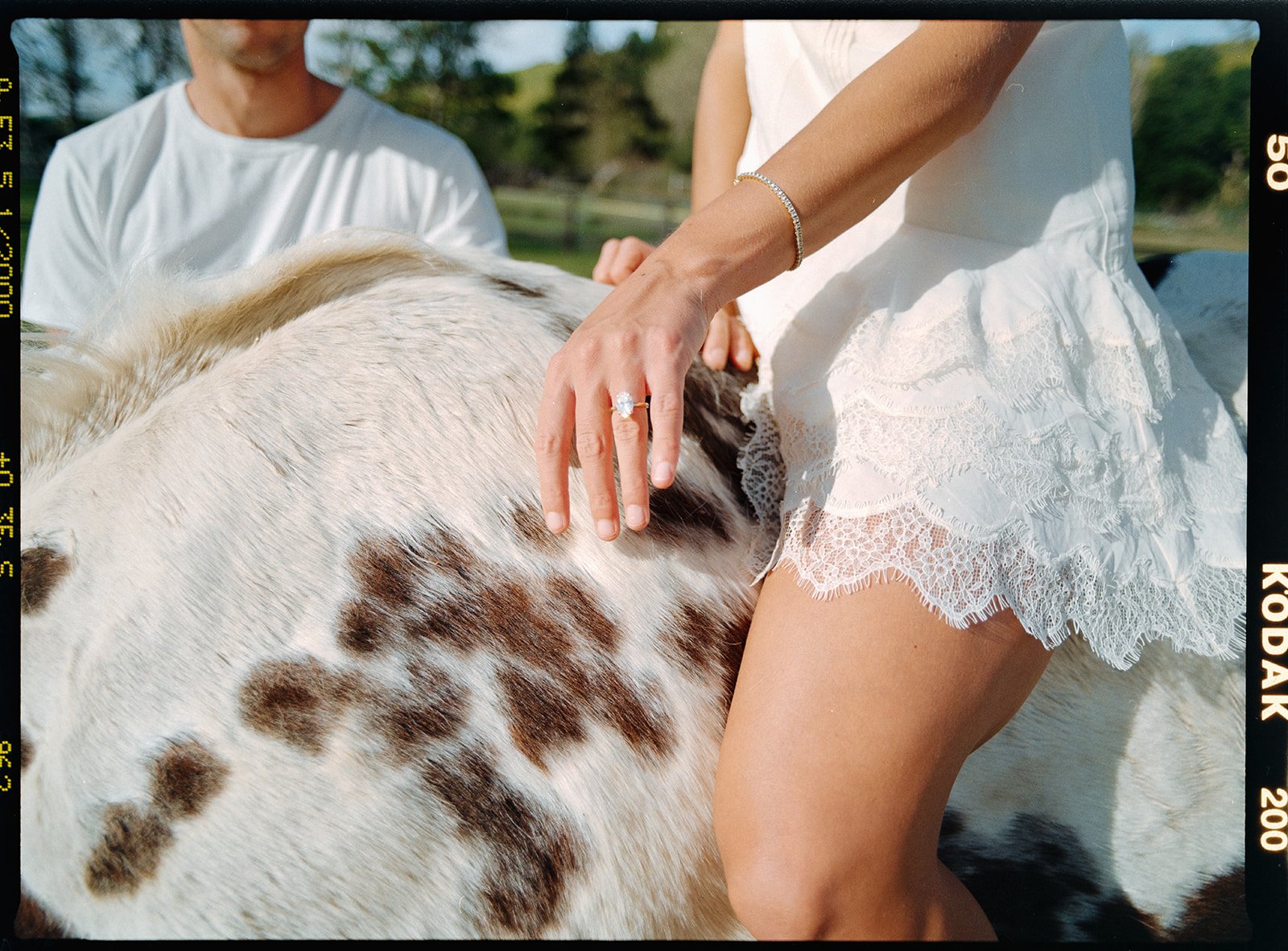 Solvang Countryside Ranch - Horse Engagements