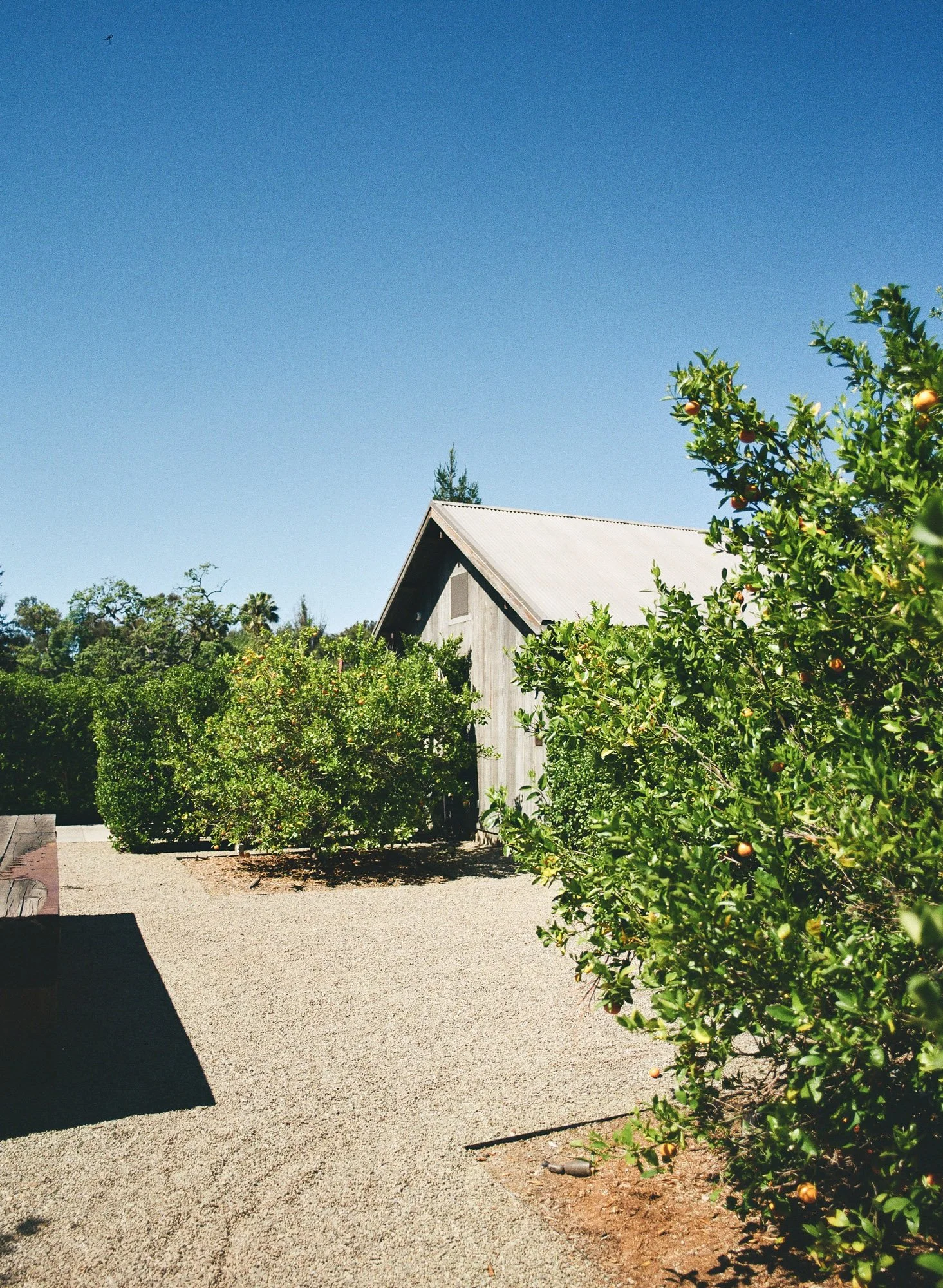 california wedding photo on film-142.jpg