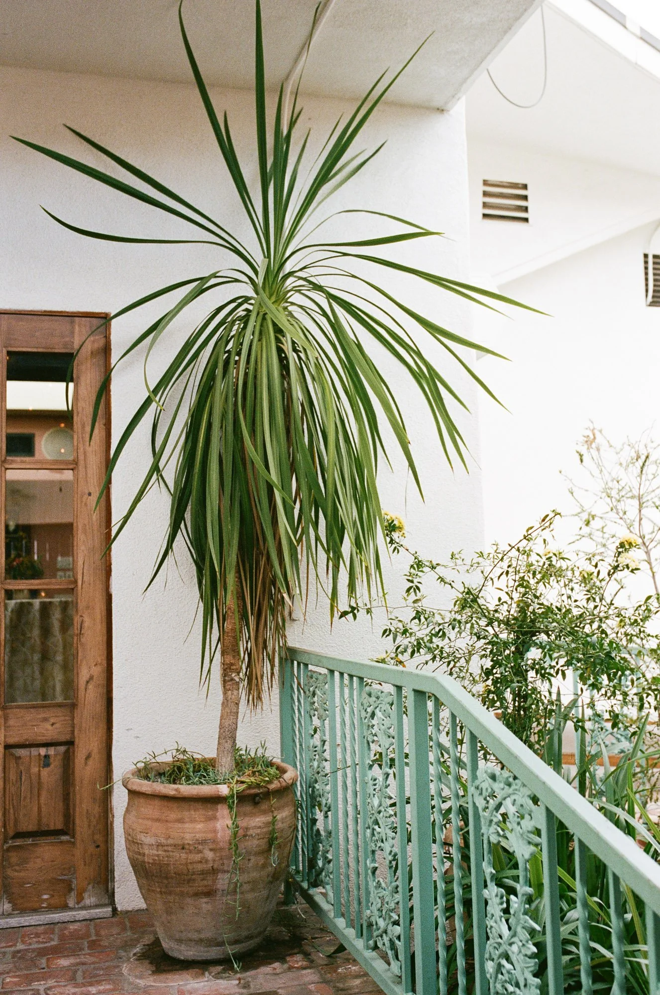 california wedding photo on film-227.jpg