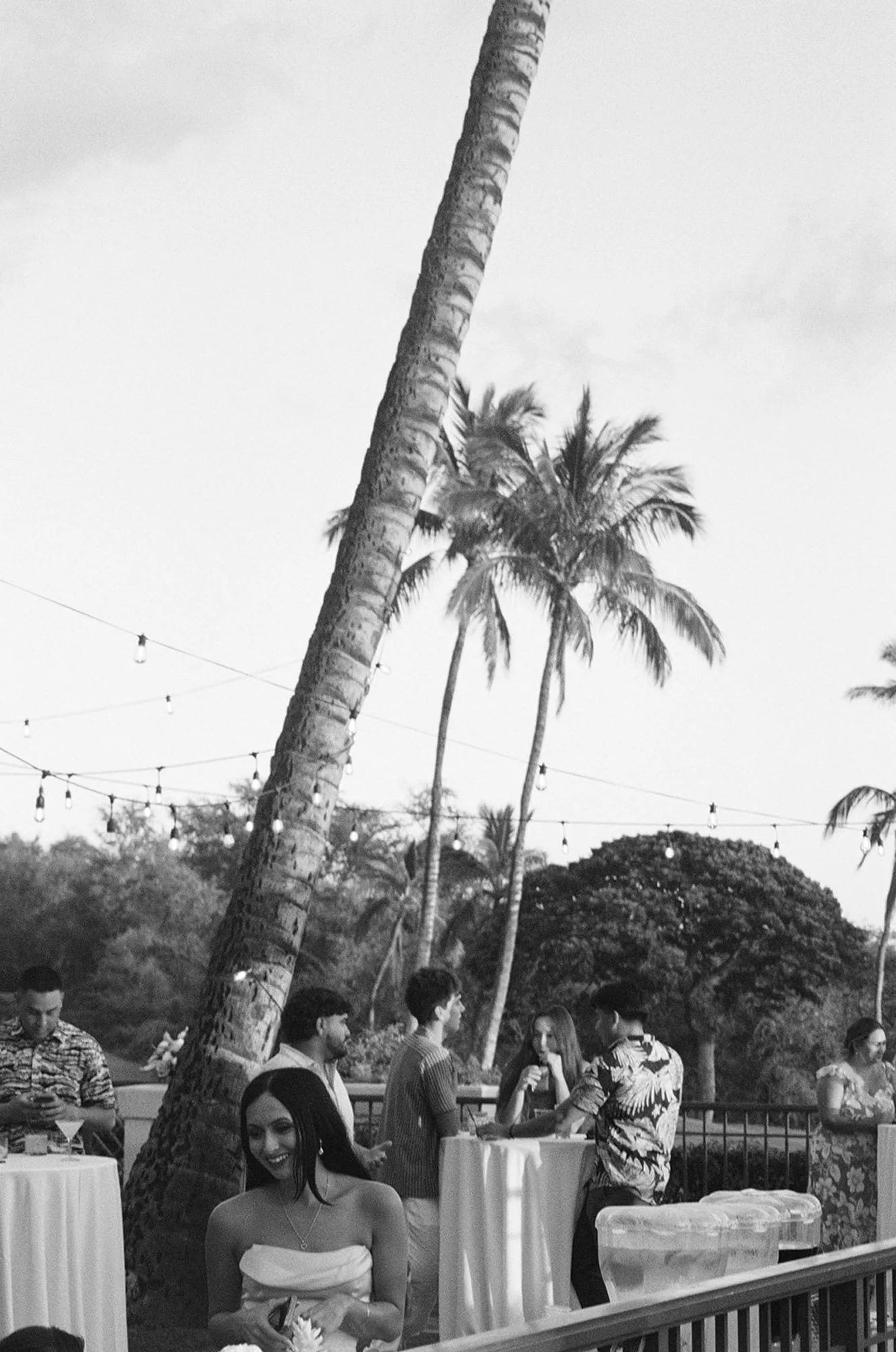 s+n-reception-33.jpg