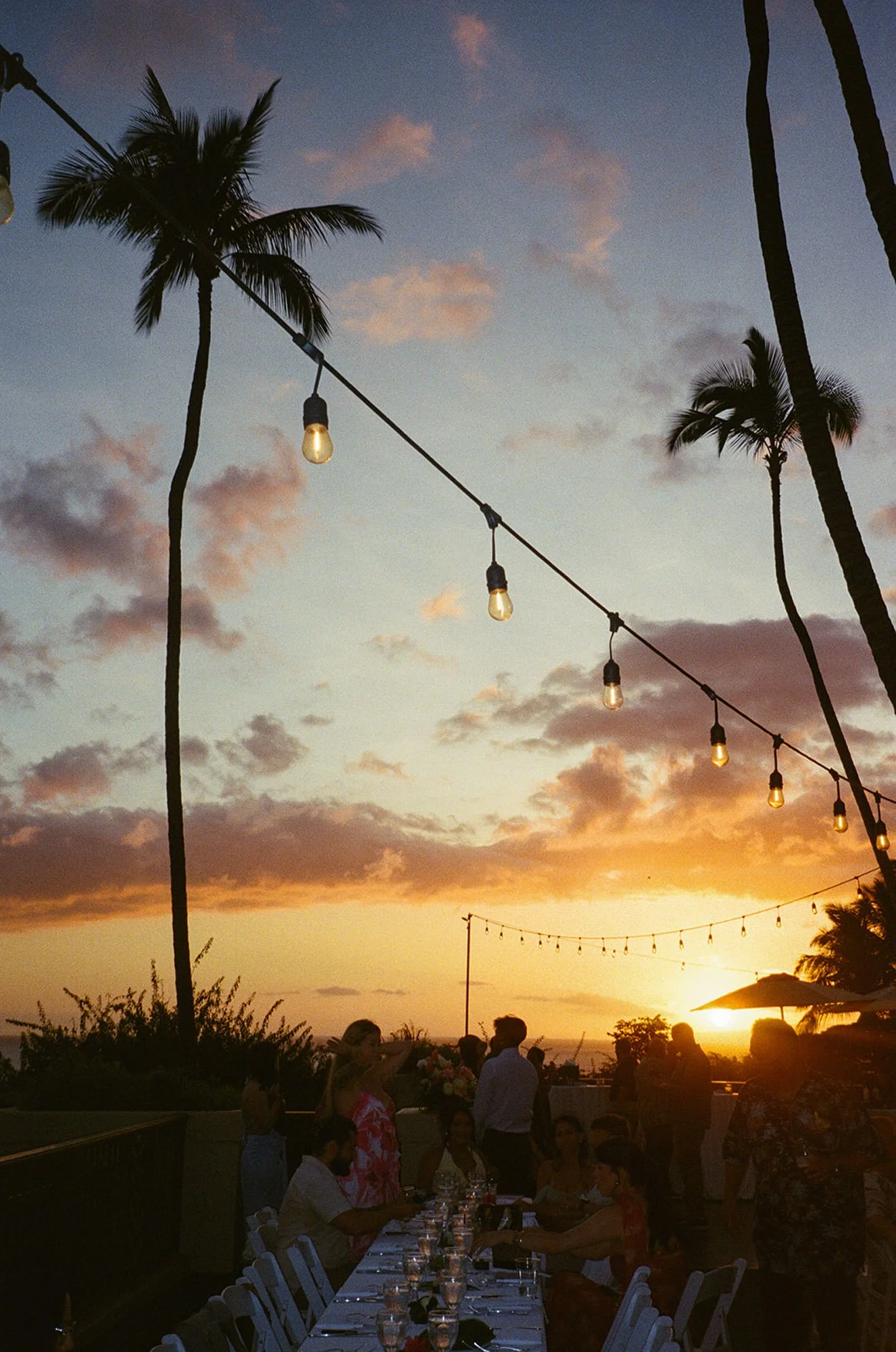 s+n-reception-81.jpg