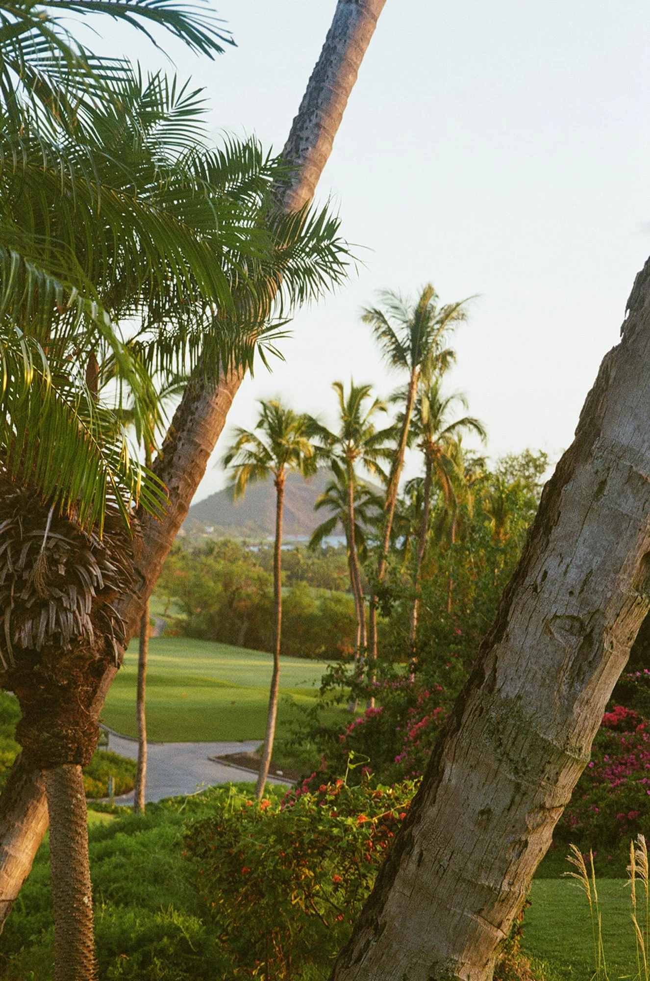 s+n-reception-85.jpg