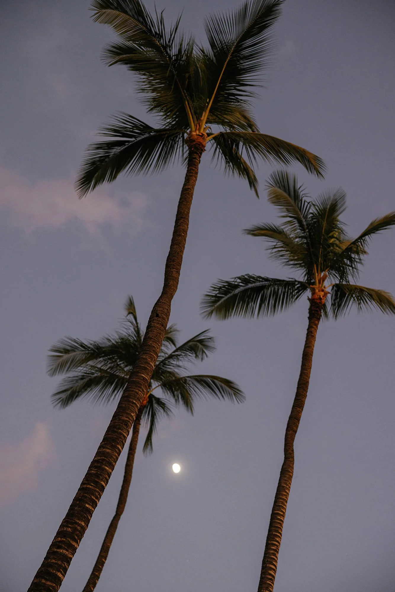 s+n-reception-91.jpg