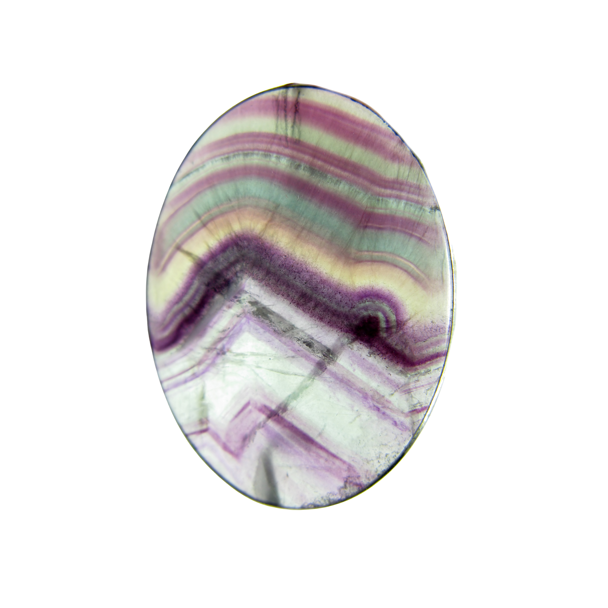 Close-up of a multicolored shell with concentric purple, pink, and yellowish-green lines.